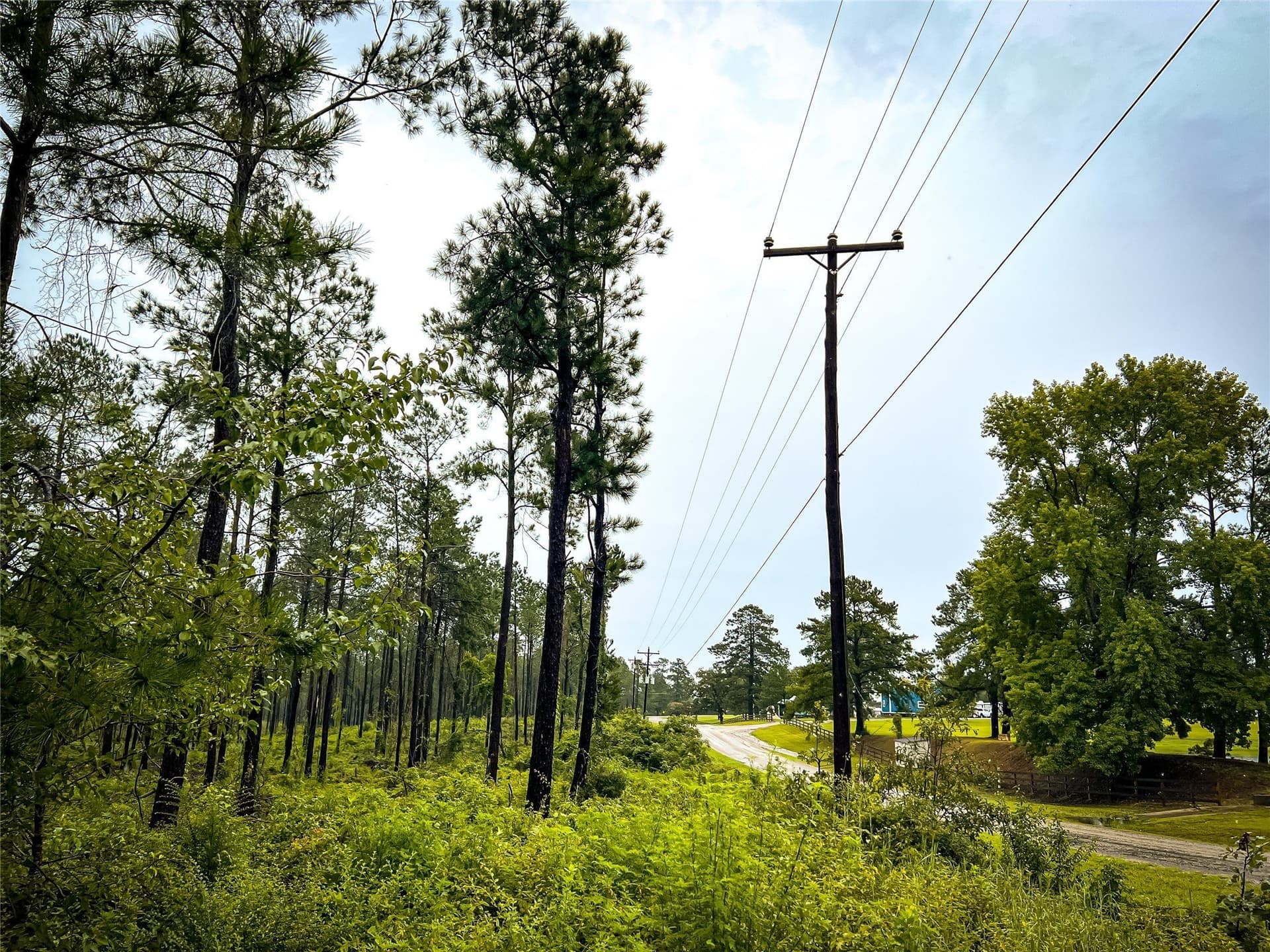 29 acres in Jasper County - photo 4