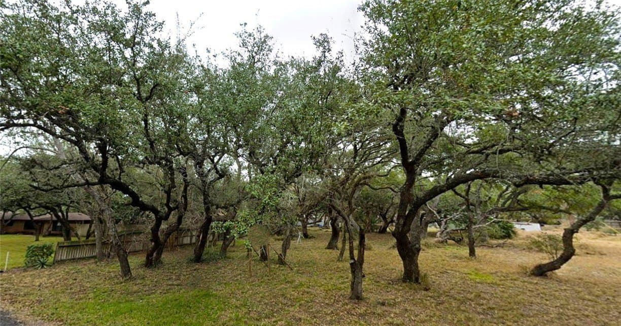 0.24 acres in San Patricio County gallery image 4