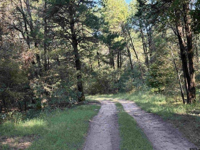 157.39 acres in Smith County - photo 19