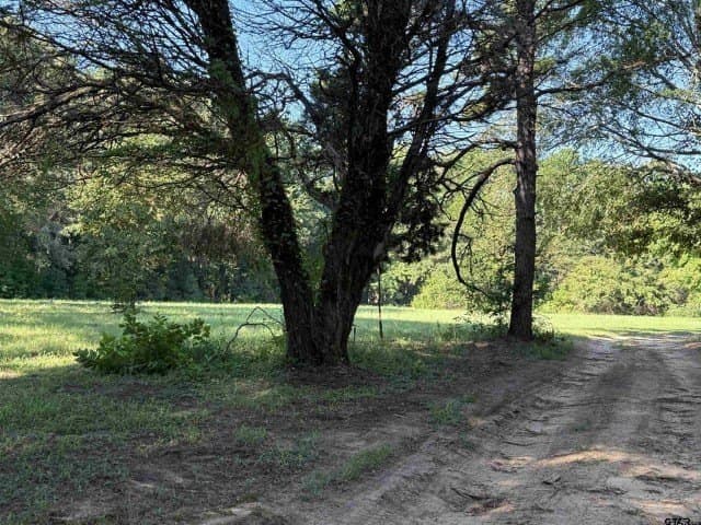 157.39 acres in Smith County - photo 7