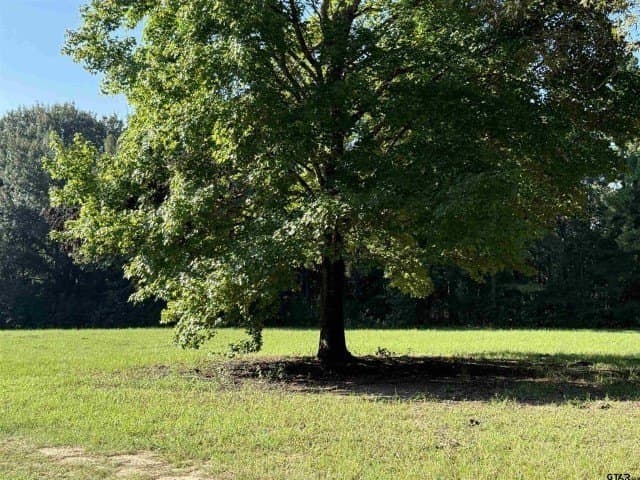 157.39 acres in Smith County - photo 10