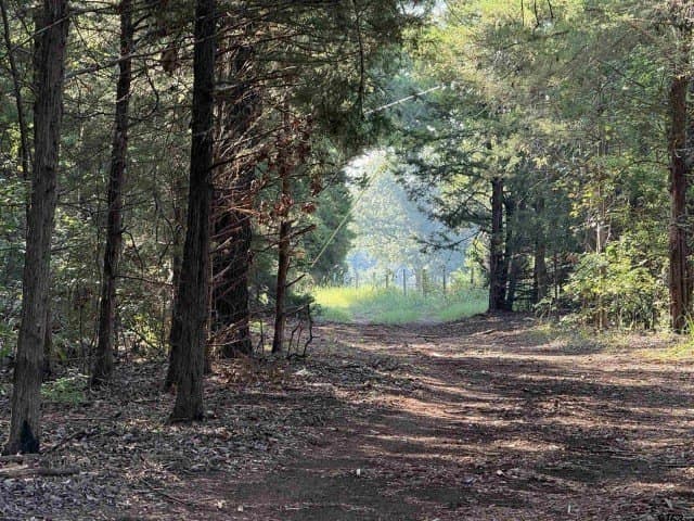 157.39 acres in Smith County - photo 13