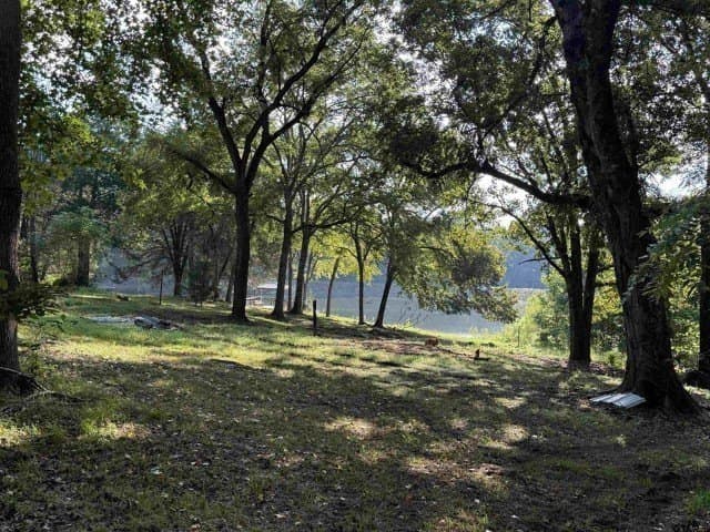 157.39 acres in Smith County - photo 20