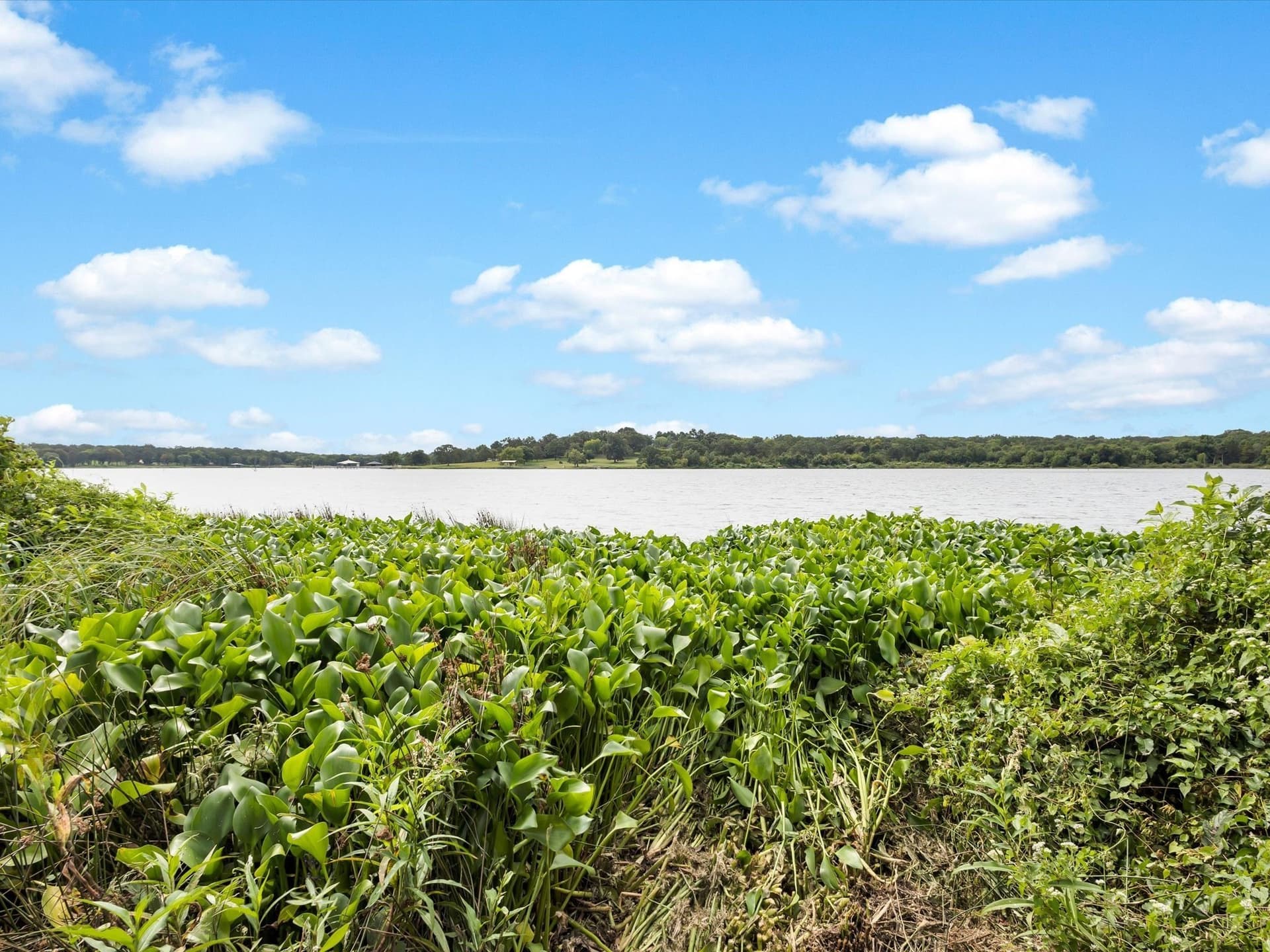 1.35 acres in Rains County - photo 17