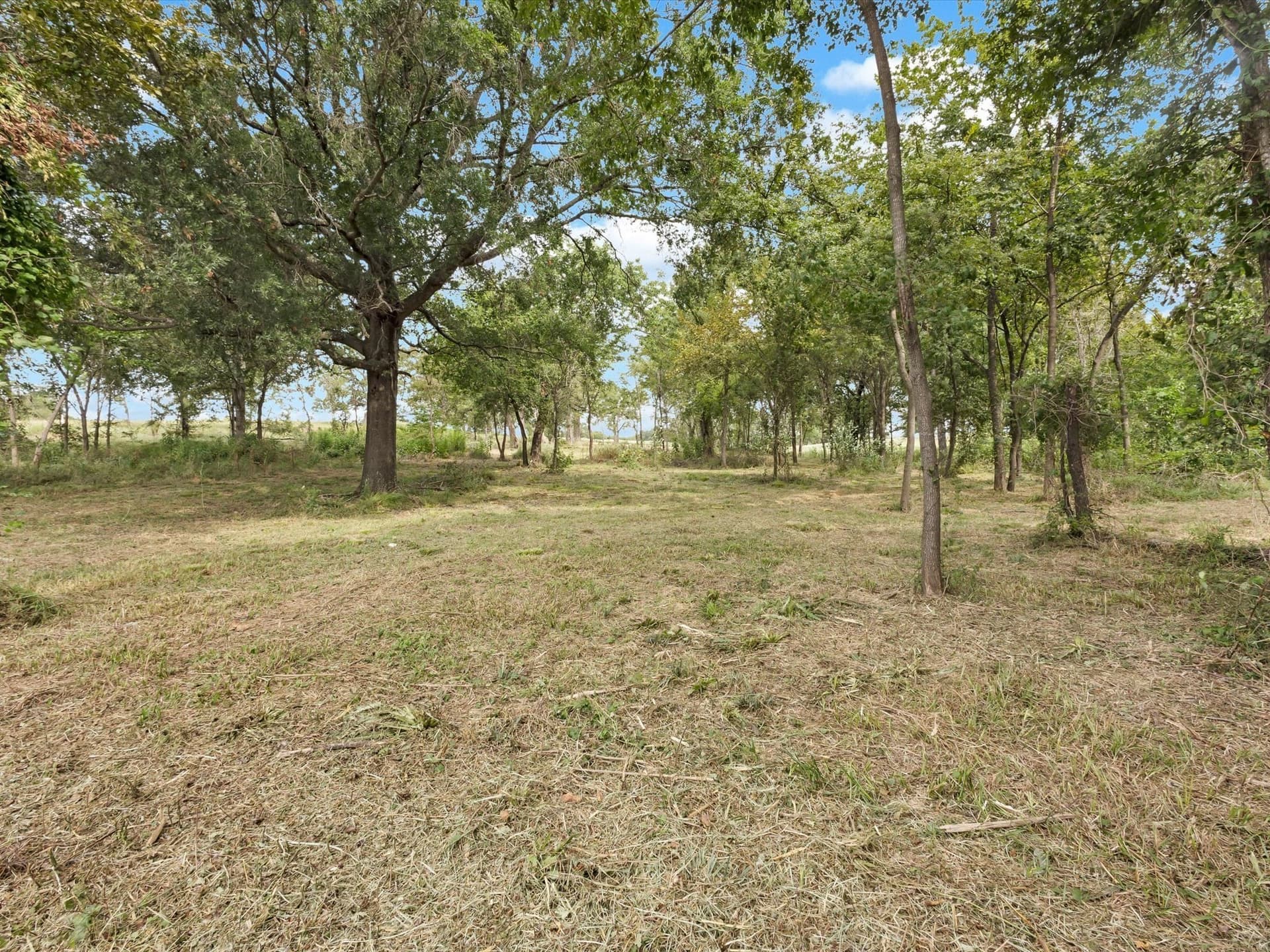 1.35 acres in Rains County - photo 15