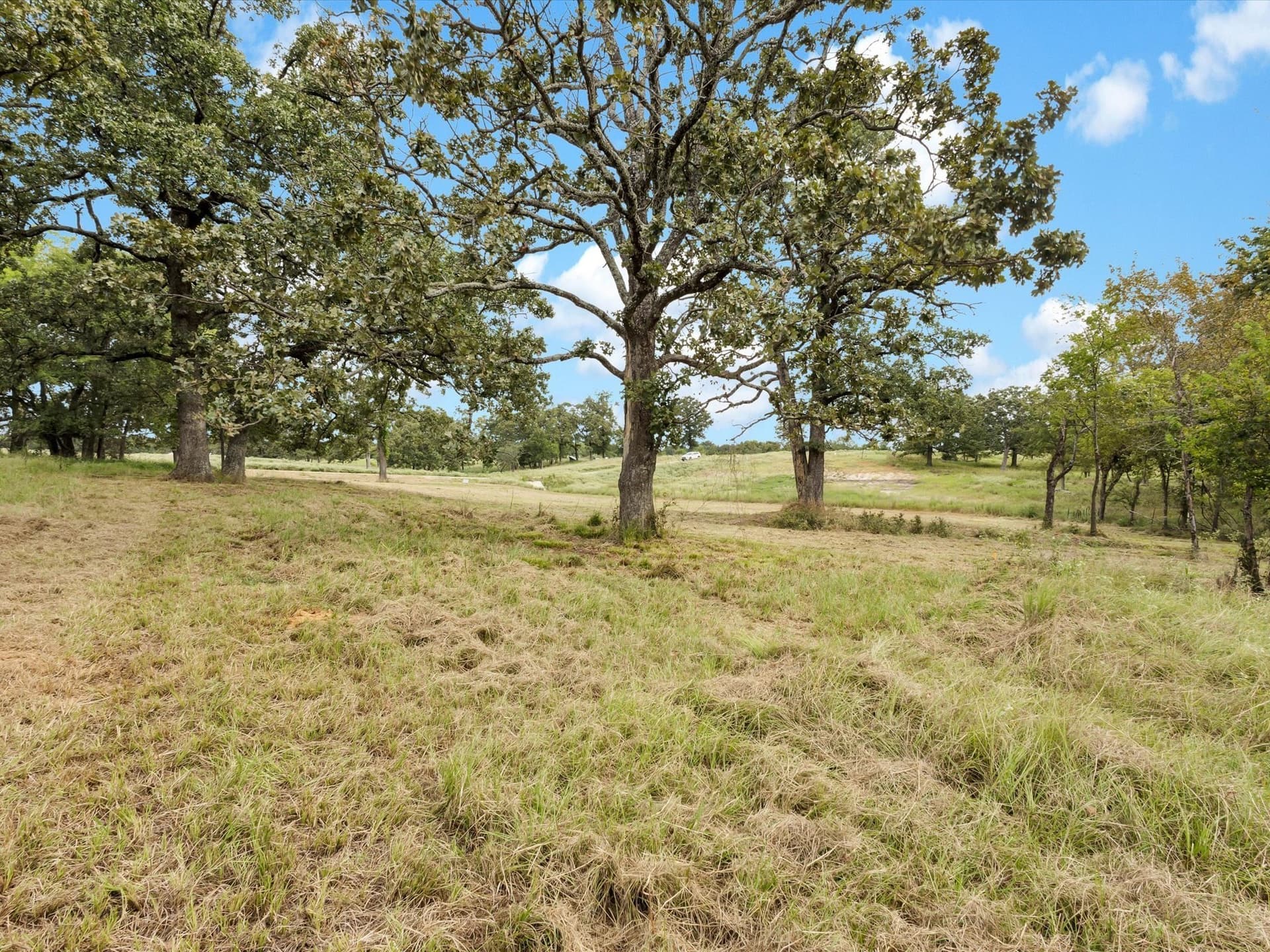 1.35 acres in Rains County - photo 12