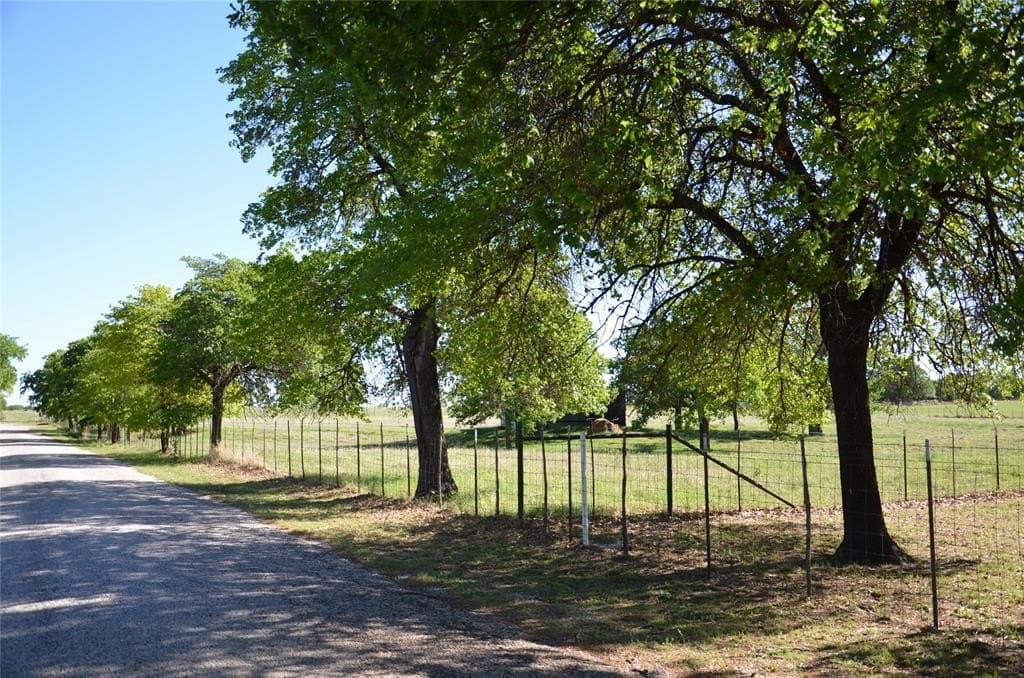 13.18 acres in Callahan County gallery image 4