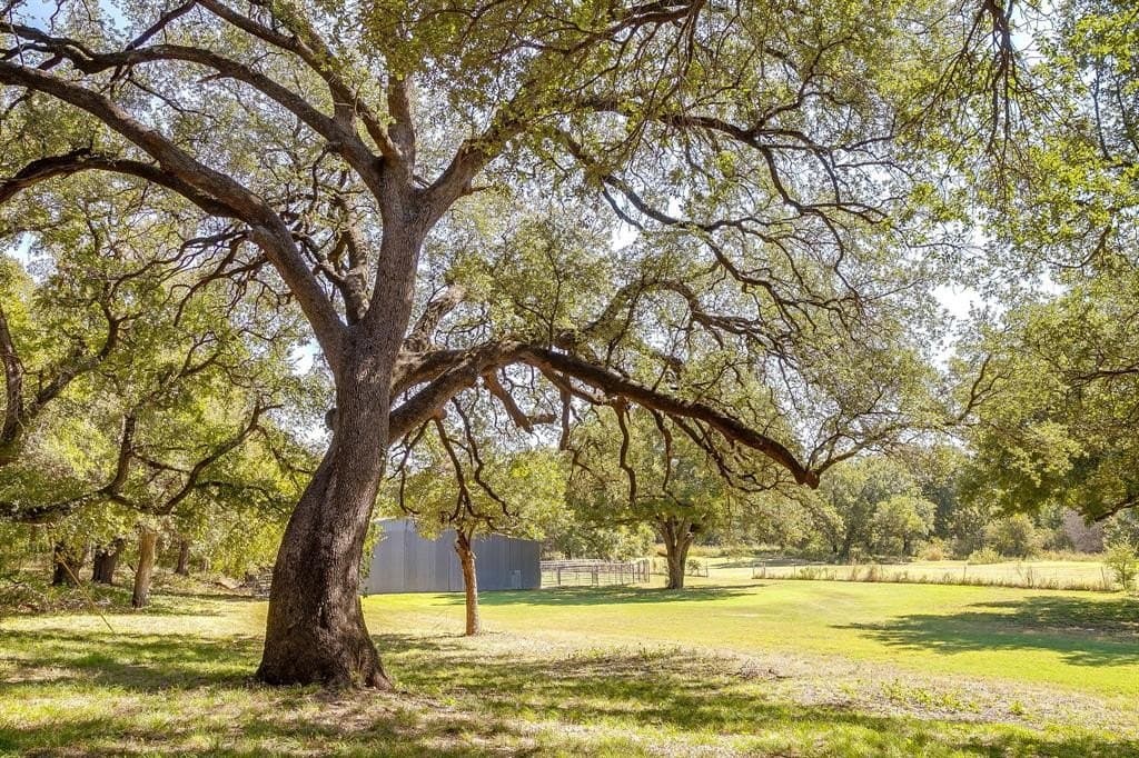 54.06 acres in Hood County gallery image 2