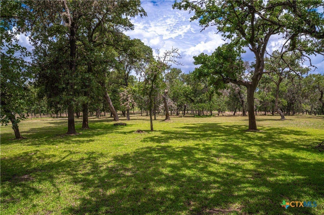 20 acres in Guadalupe County - photo 10