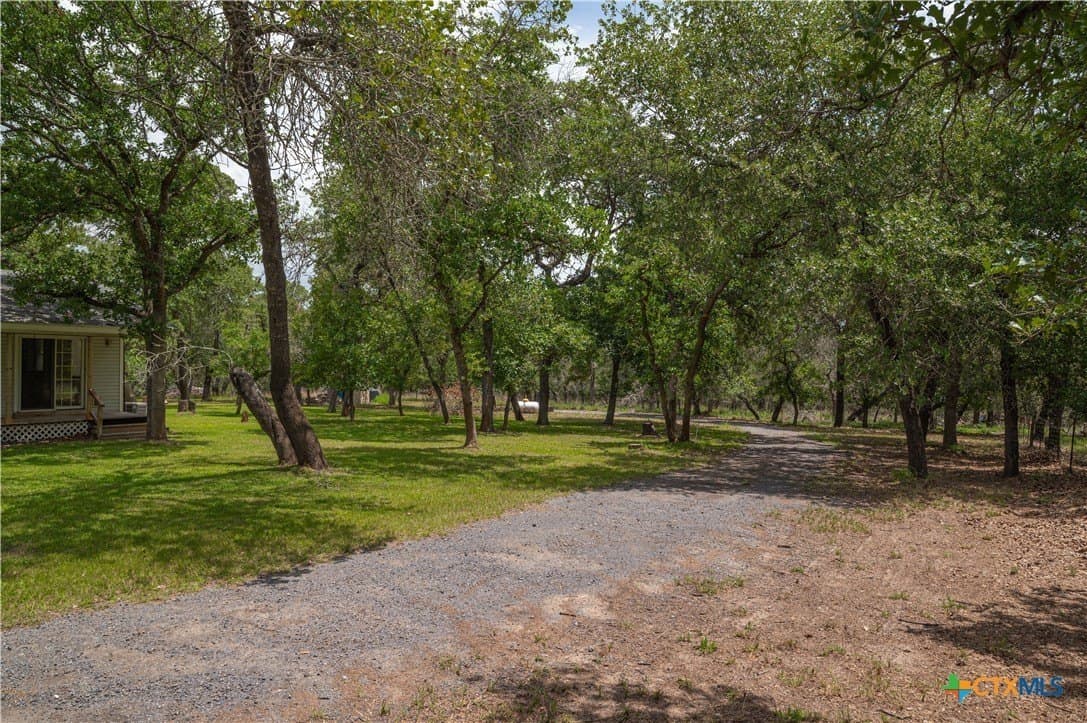 20 acres in Guadalupe County gallery image 4