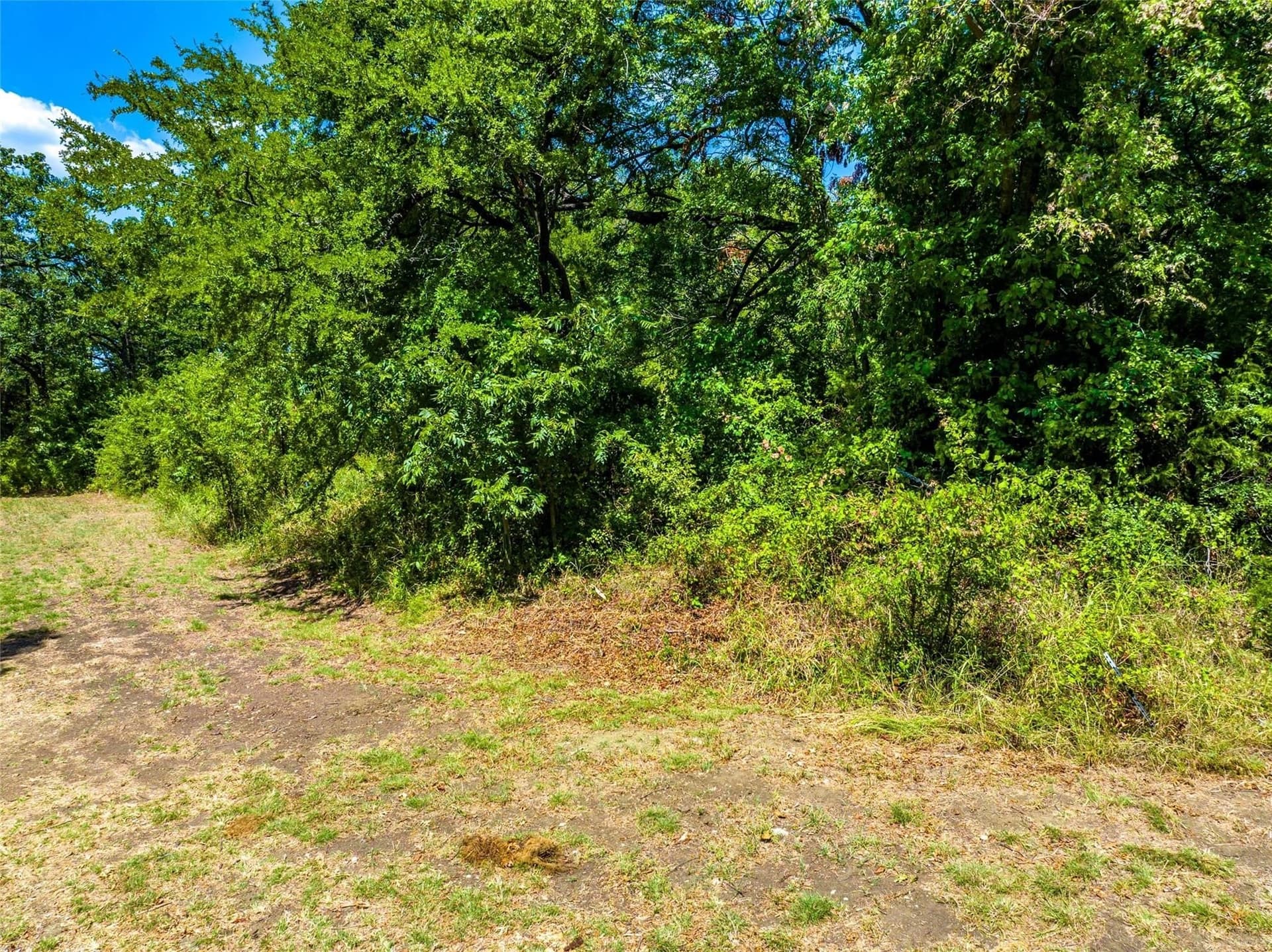 0.31 acres in Hunt County gallery image 4