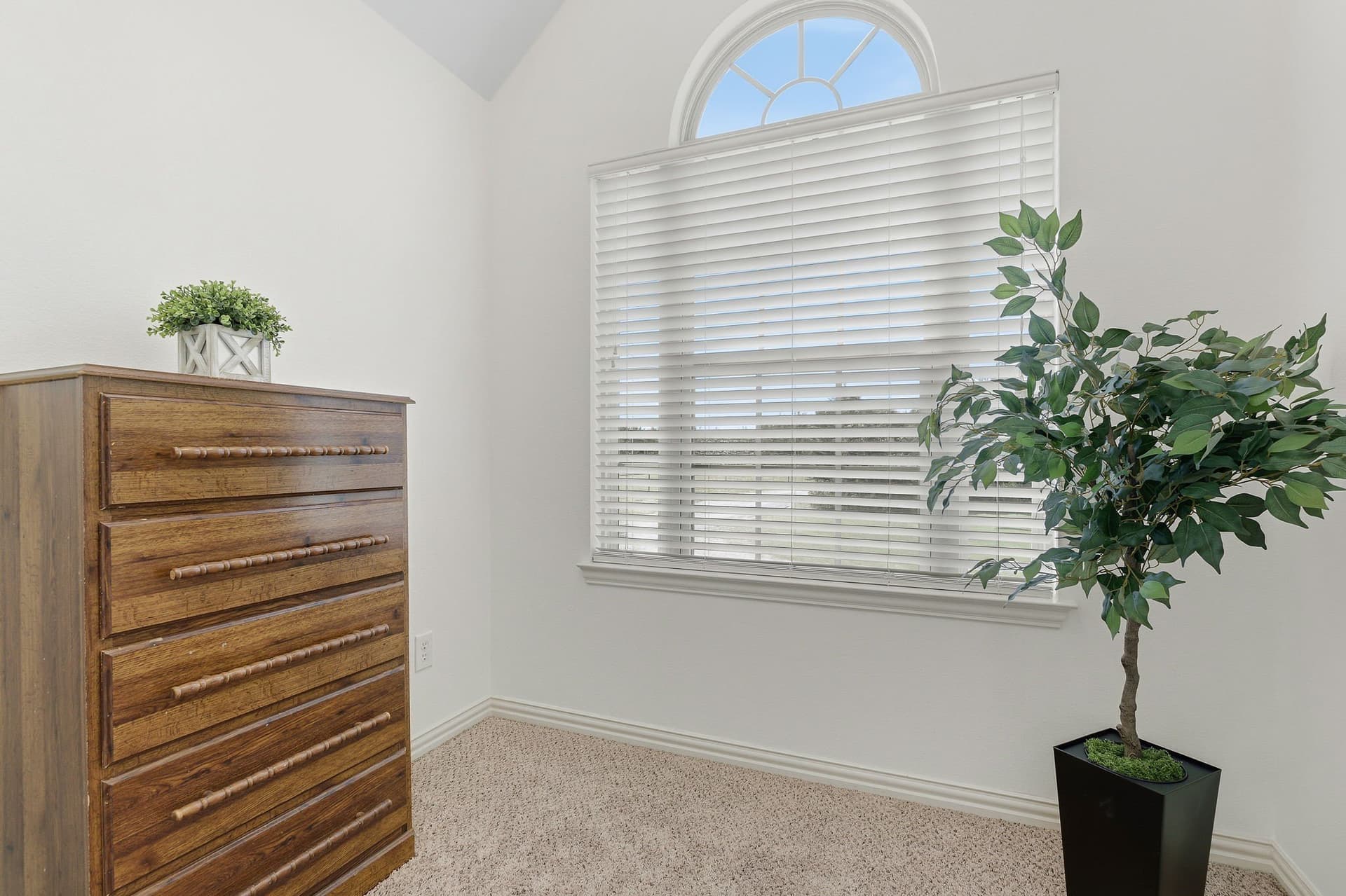 10.4 acres in Collin County - photo 23