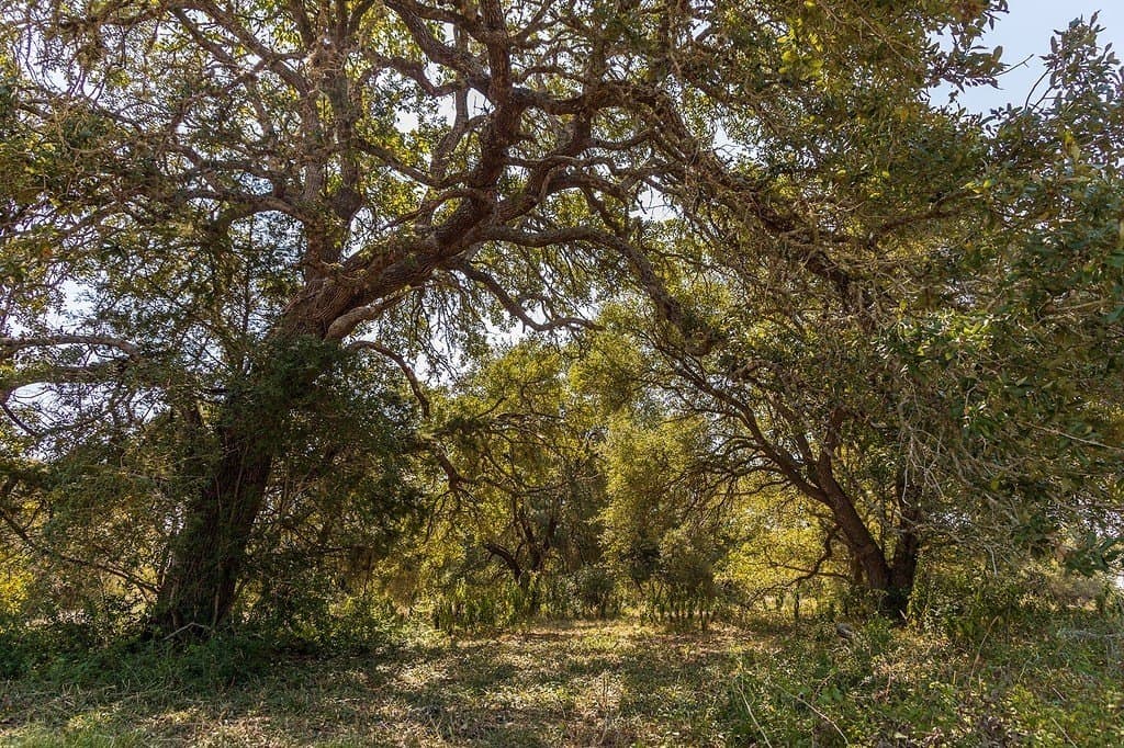 7.69 acres in Fayette County featured view