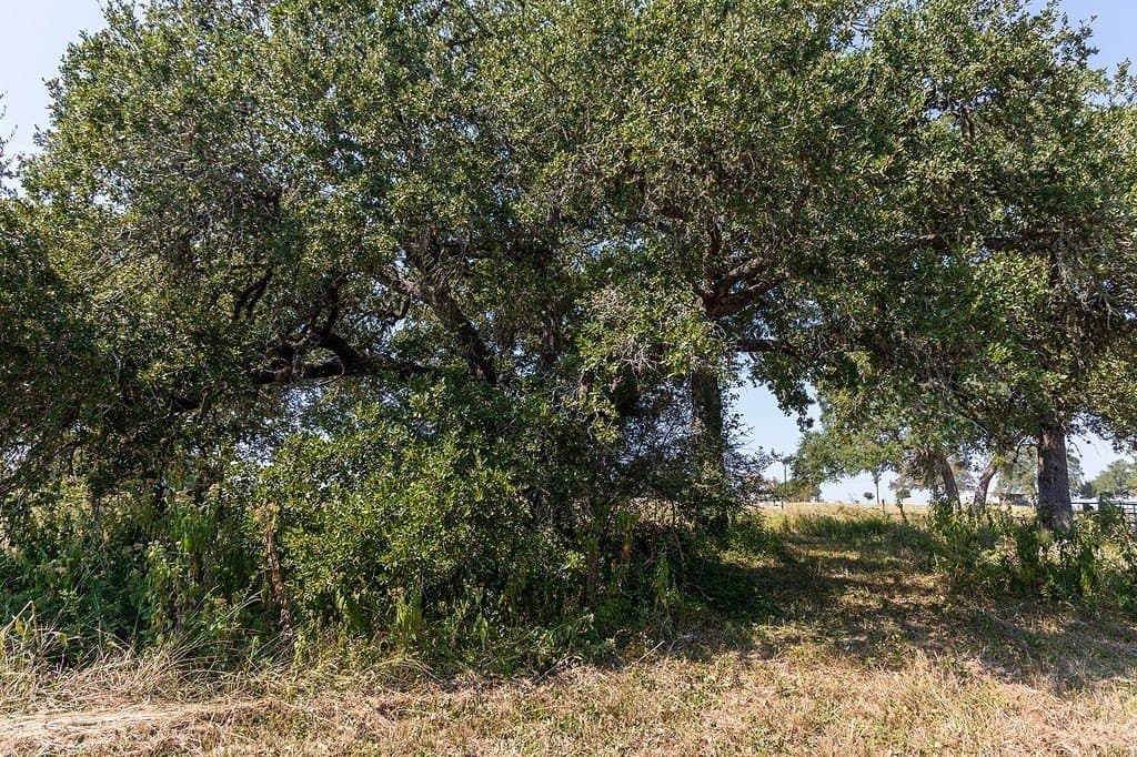 7.69 acres in Fayette County gallery image 2