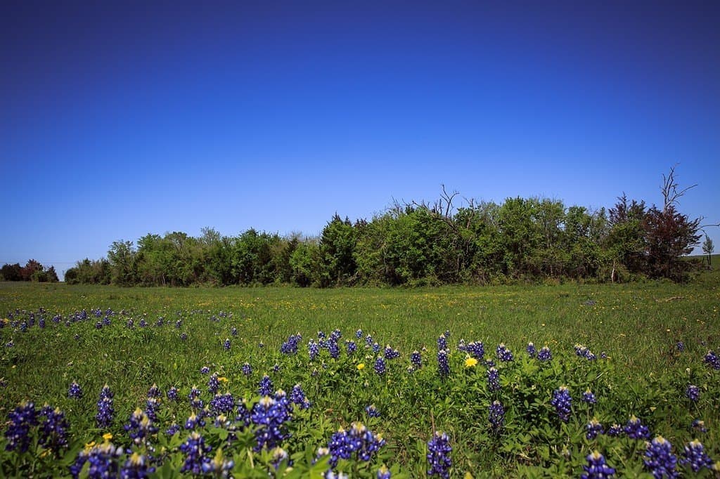 84.25 acres in Washington County gallery image 4