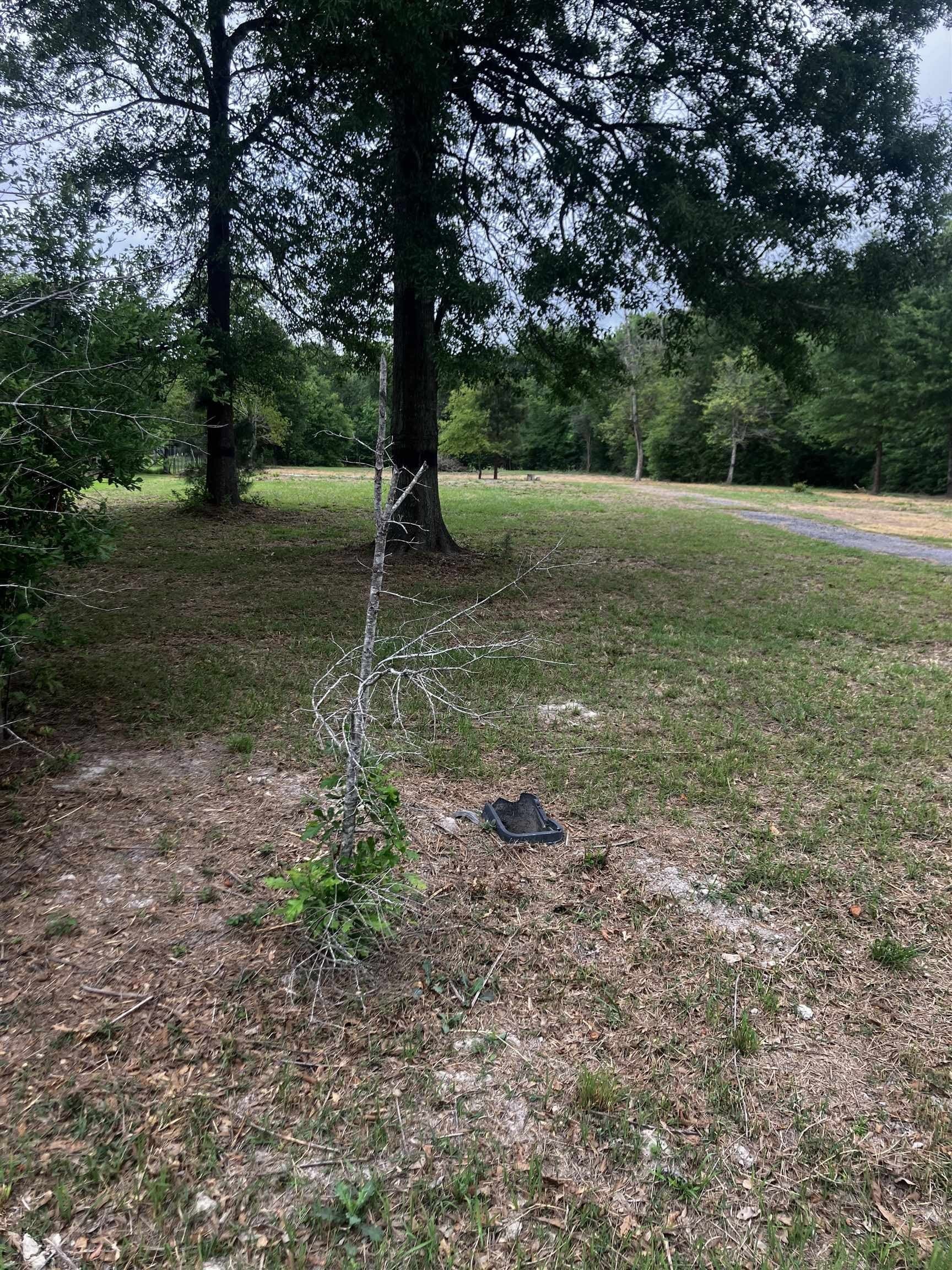 2.01 acres in Texas County featured view