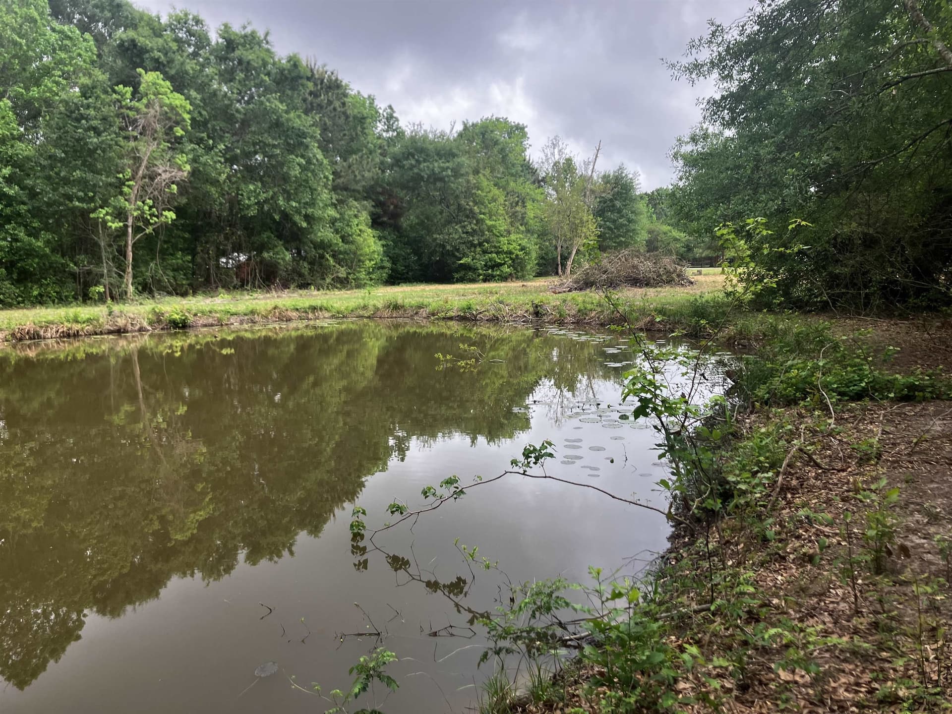 2.01 acres in Texas County gallery image 3