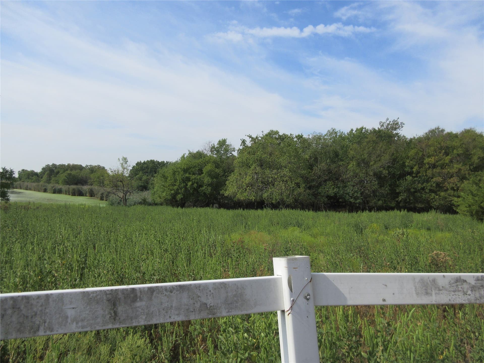 19.3 acres in Hunt County - photo 10