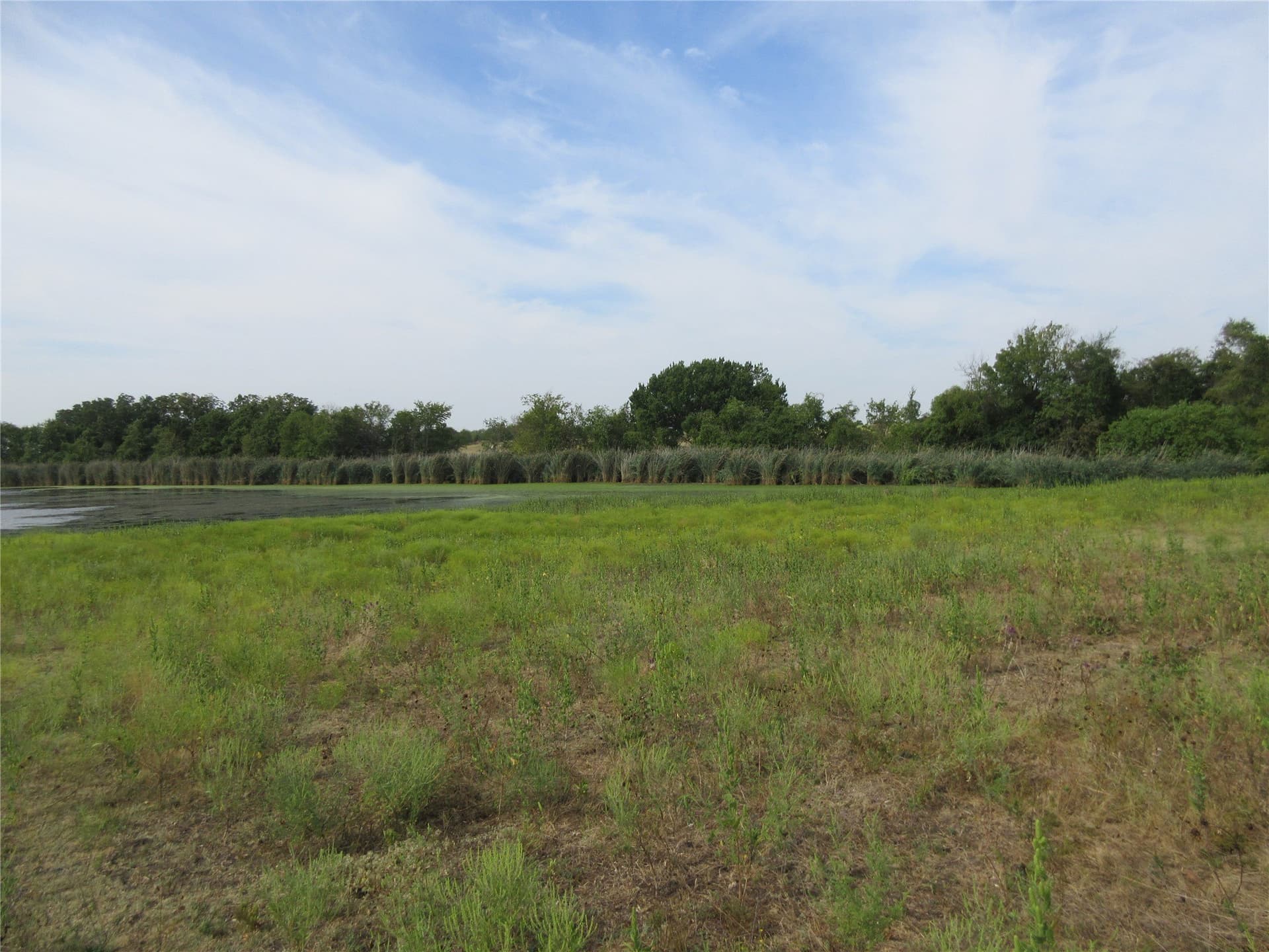 19.3 acres in Hunt County - photo 13
