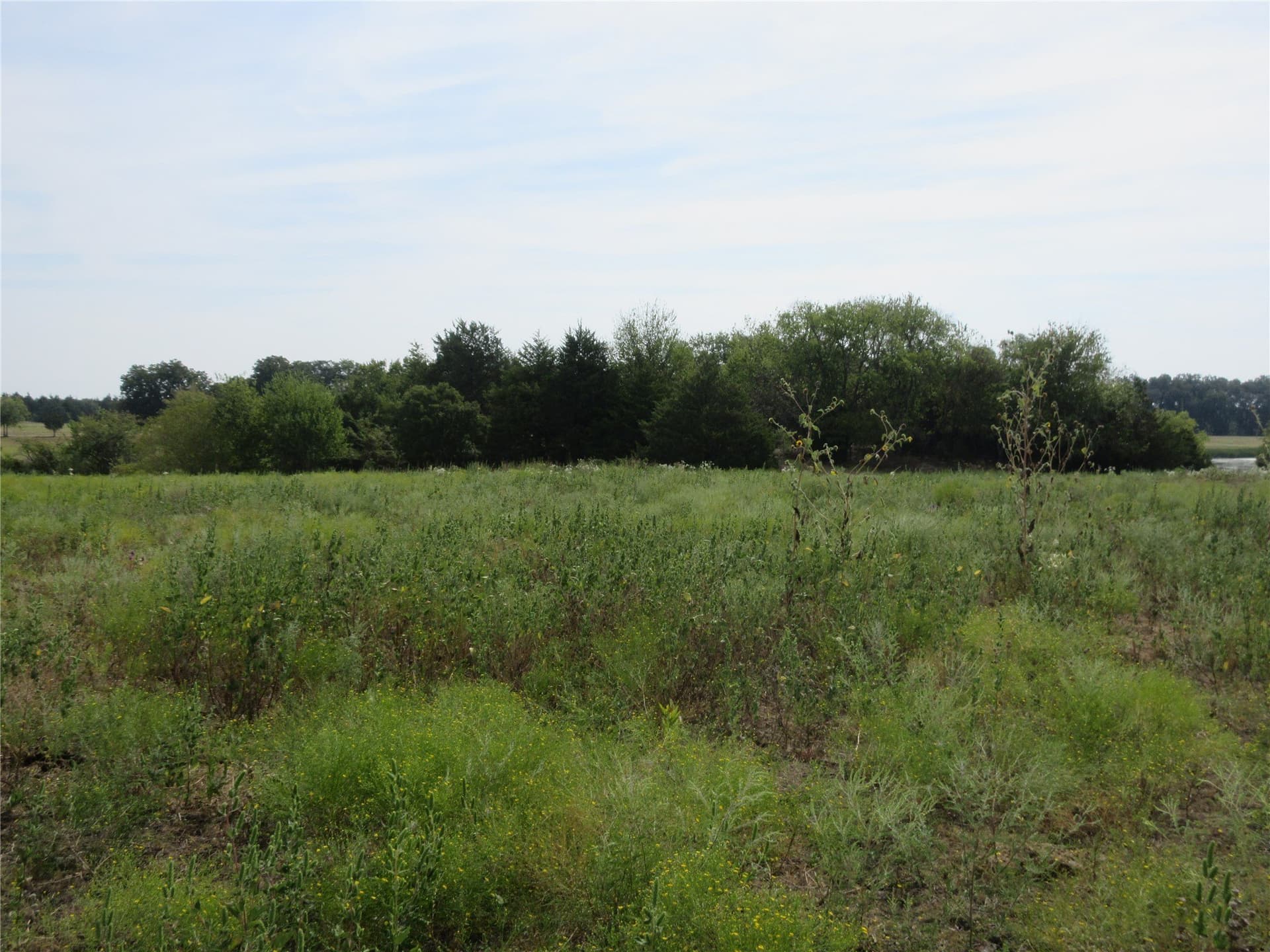 19.3 acres in Hunt County - photo 17