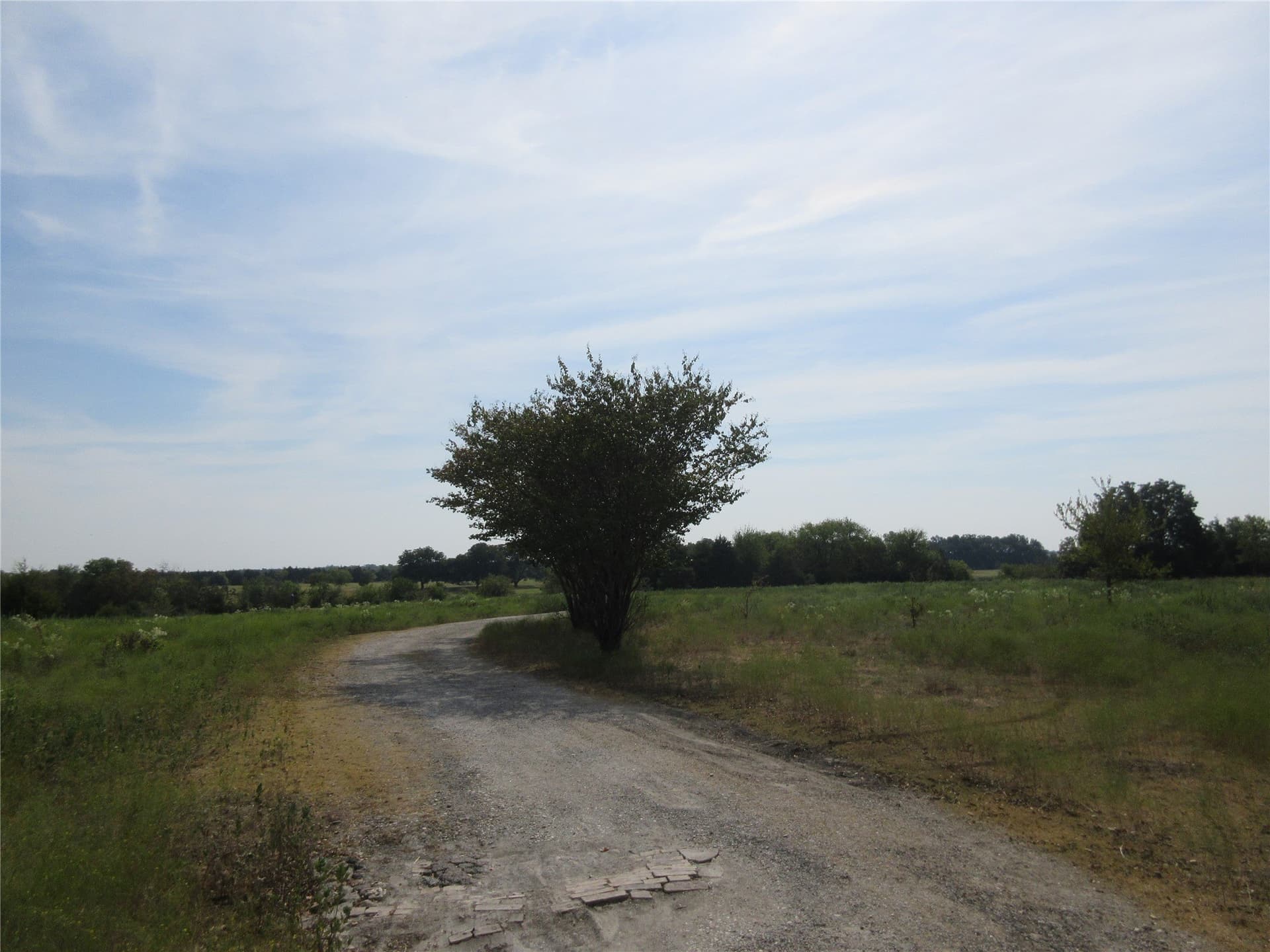19.3 acres in Hunt County - photo 4