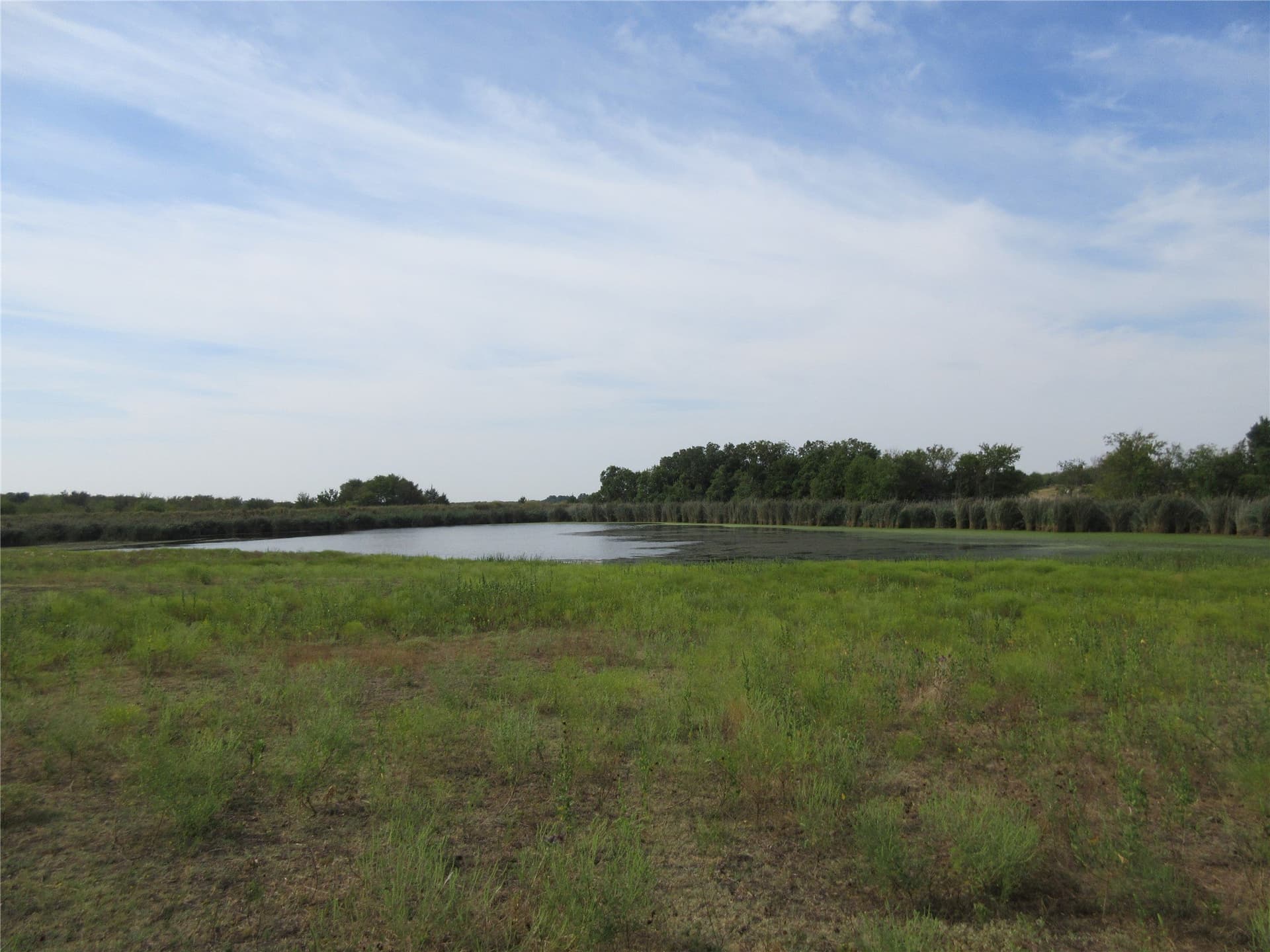 19.3 acres in Hunt County