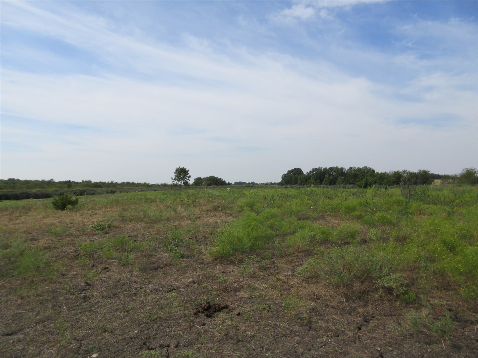 19.3 acres in Hunt County - photo 12