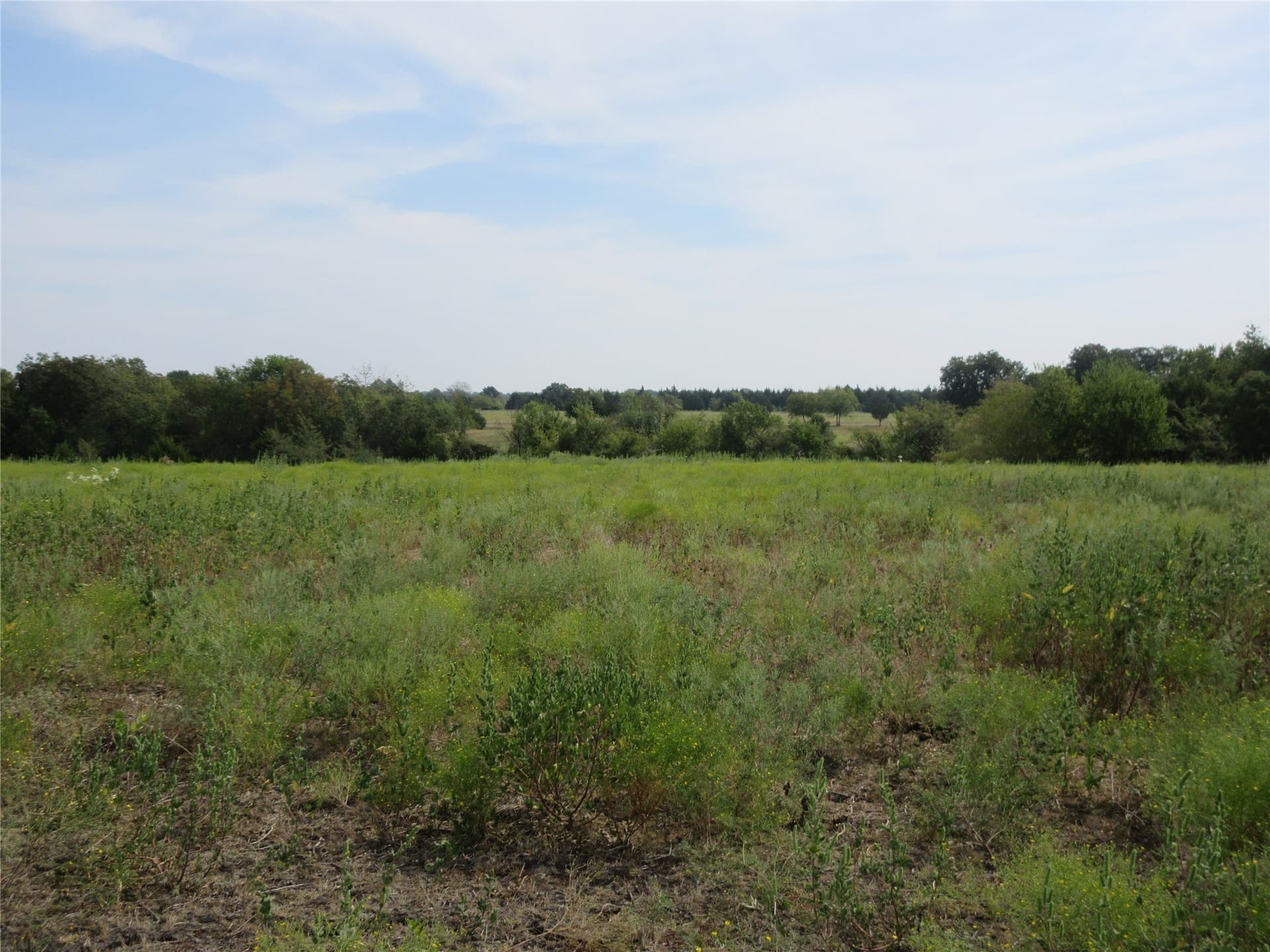 19.3 acres in Hunt County - photo 16