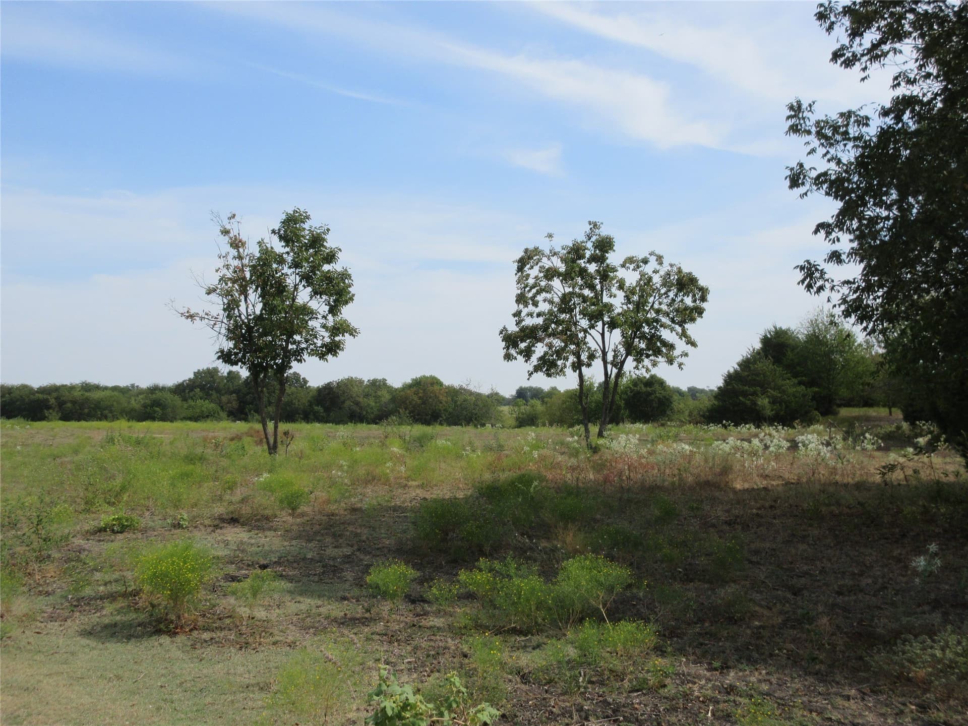 19.3 acres in Hunt County - photo 15