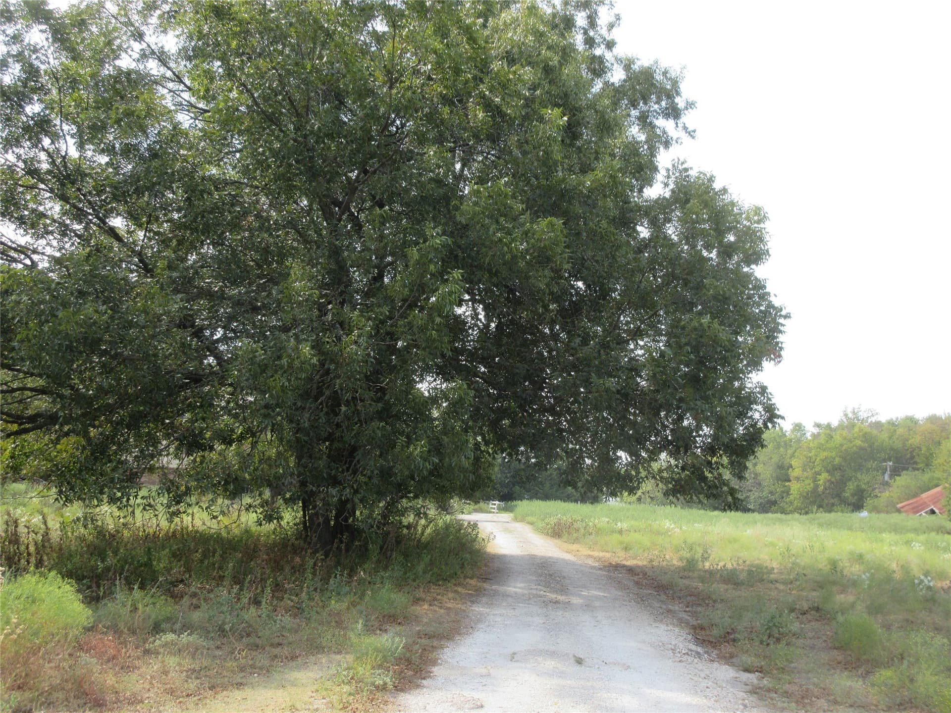 19.3 acres in Hunt County - photo 14
