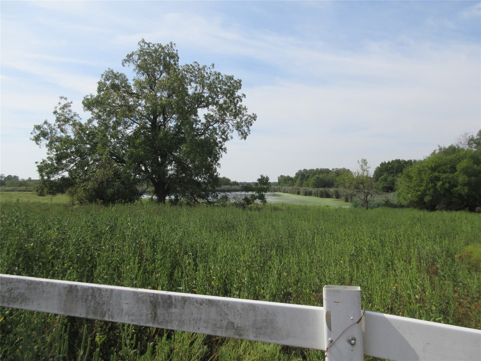 19.3 acres in Hunt County - photo 9