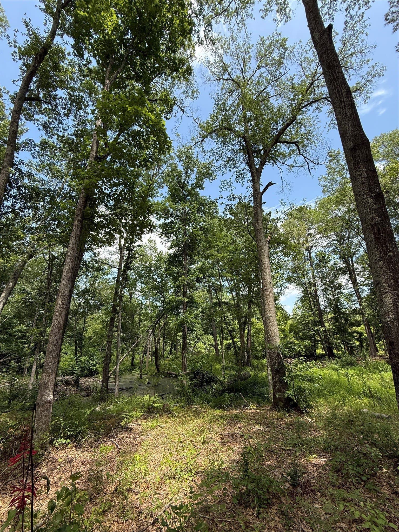 5.12 acres in Harrison County - photo 6