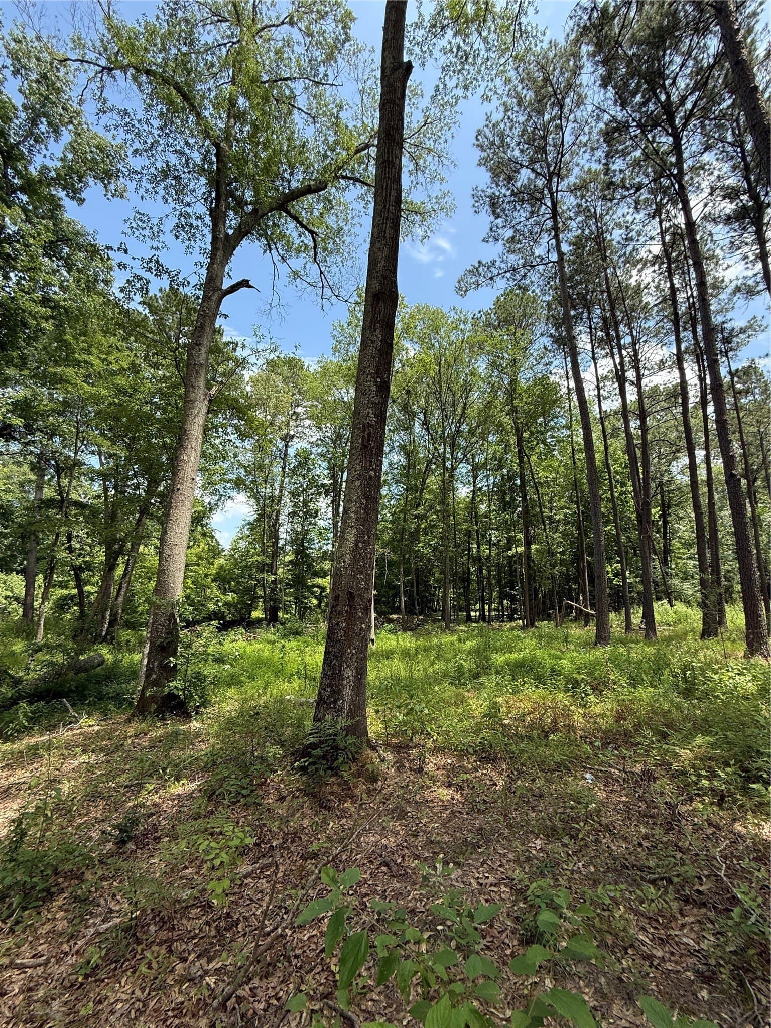 5.12 acres in Harrison County featured view