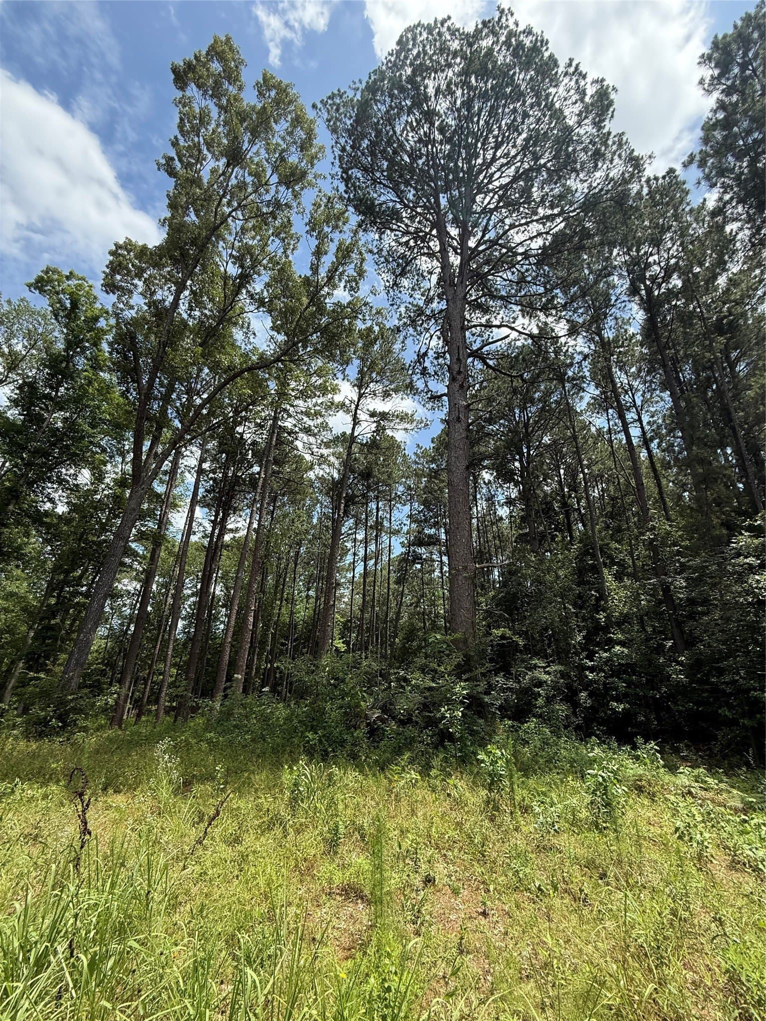 5.12 acres in Harrison County - photo 7