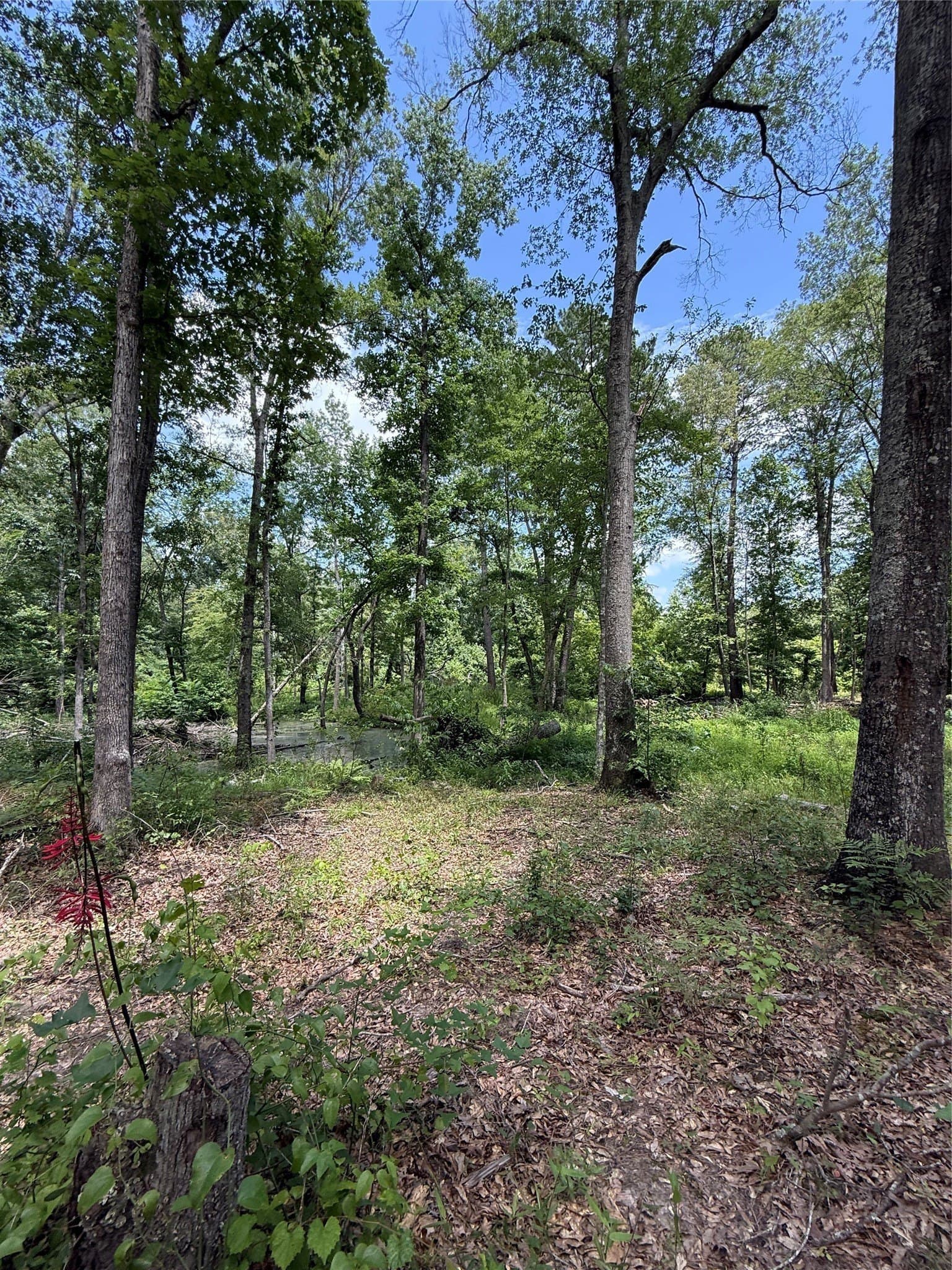 5.12 acres in Harrison County gallery image 2