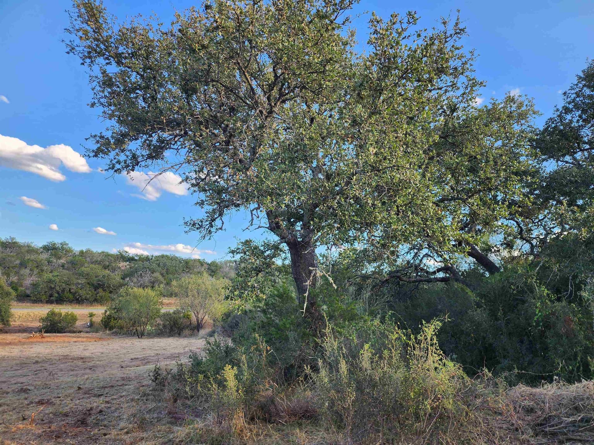 1.02 acres in Burnet County - photo 8