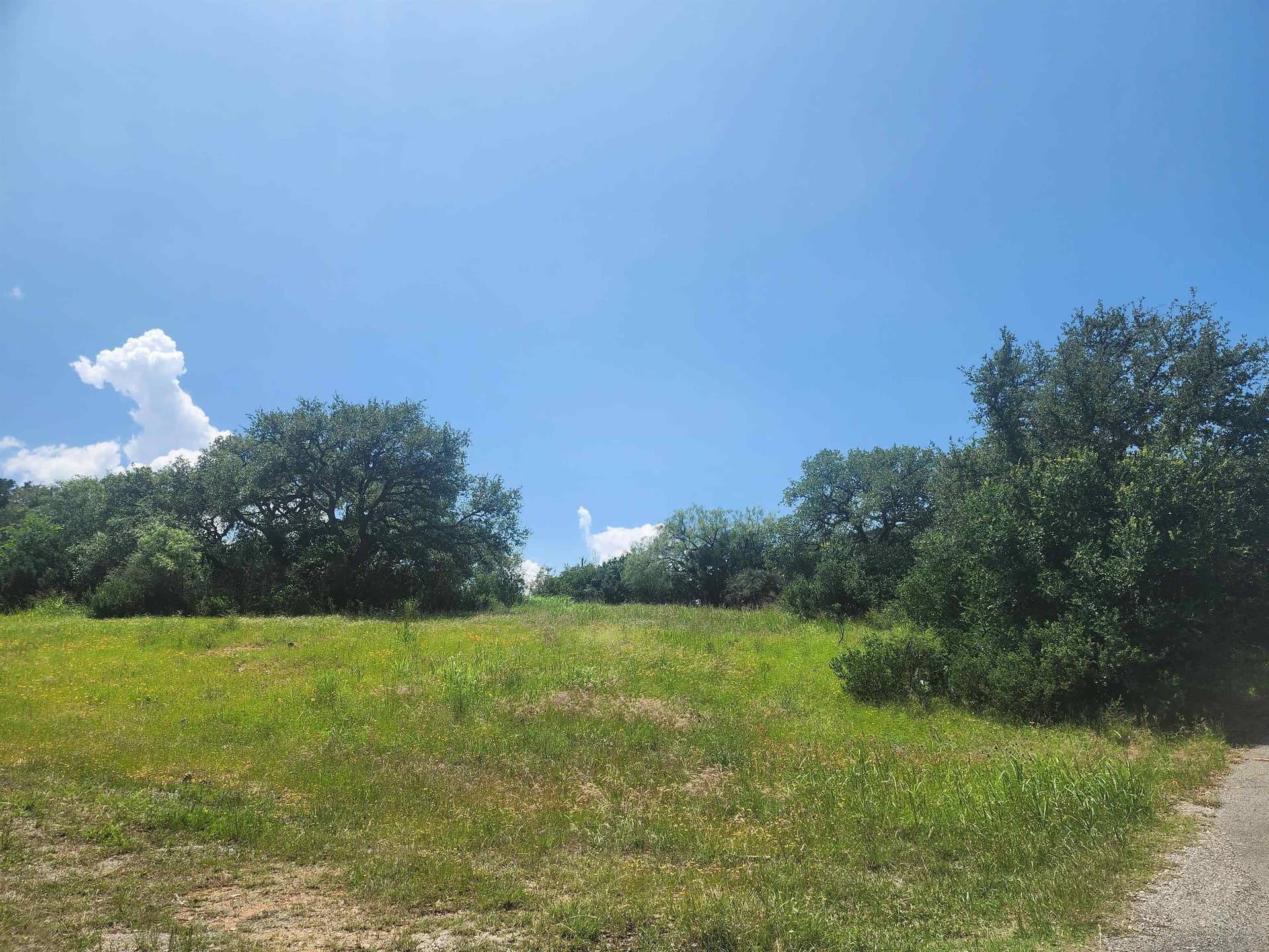 1.02 acres in Burnet County gallery image 4