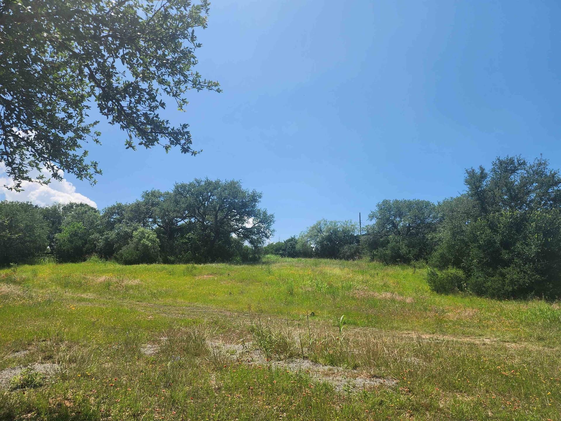 1.02 acres in Burnet County gallery image 2
