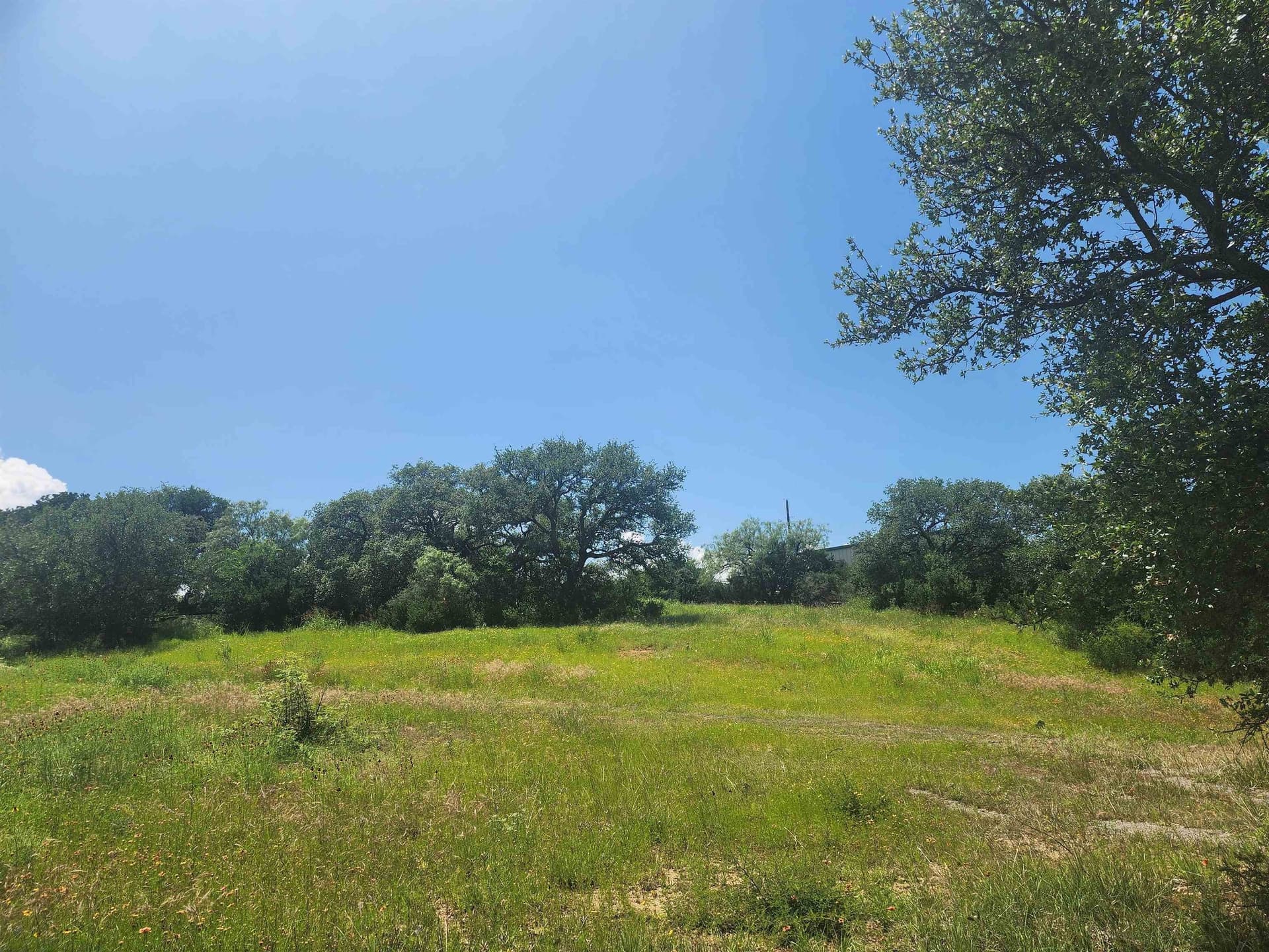 1.02 acres in Burnet County gallery image 3