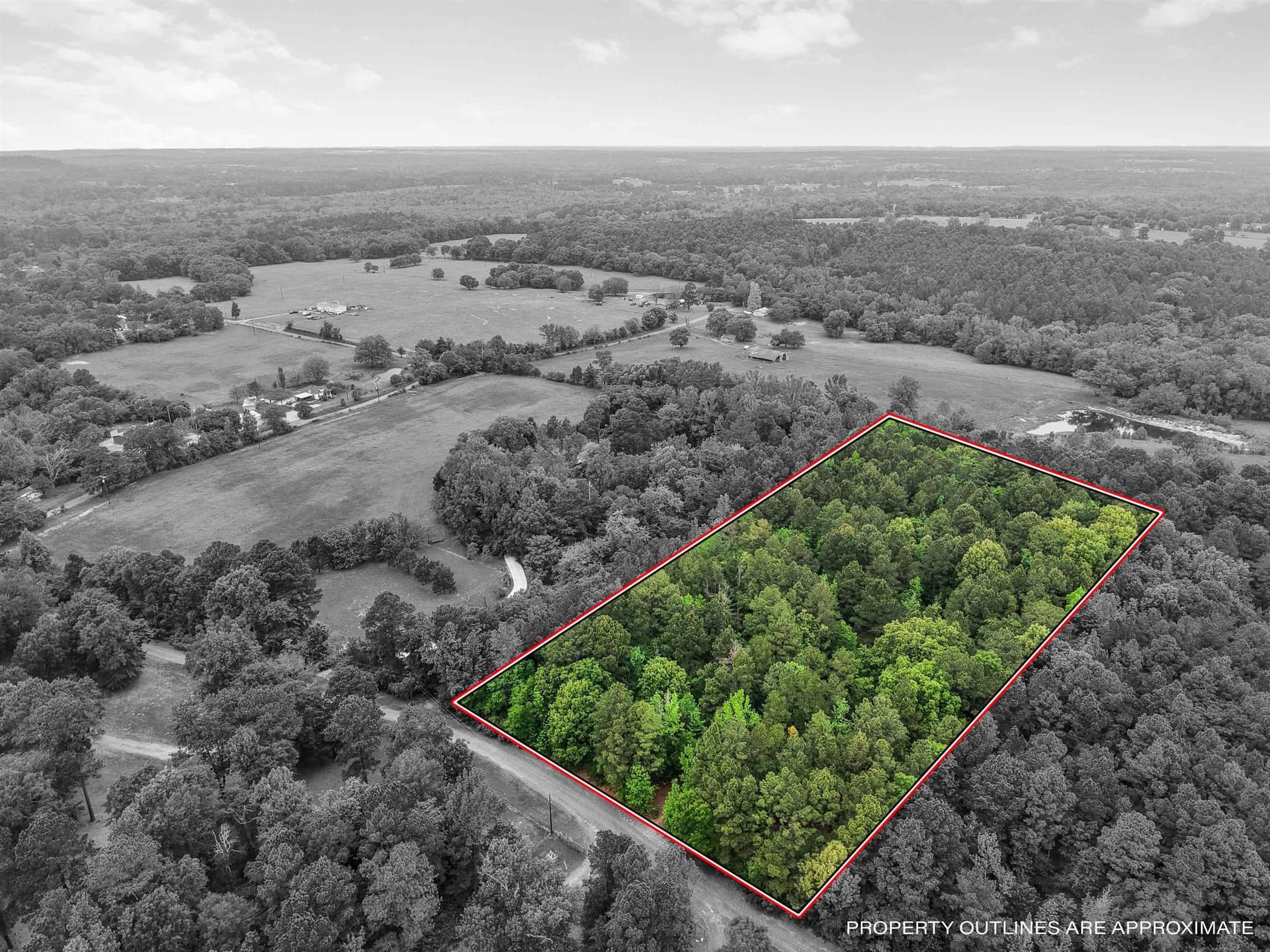 8 acres in Texas County gallery image 4