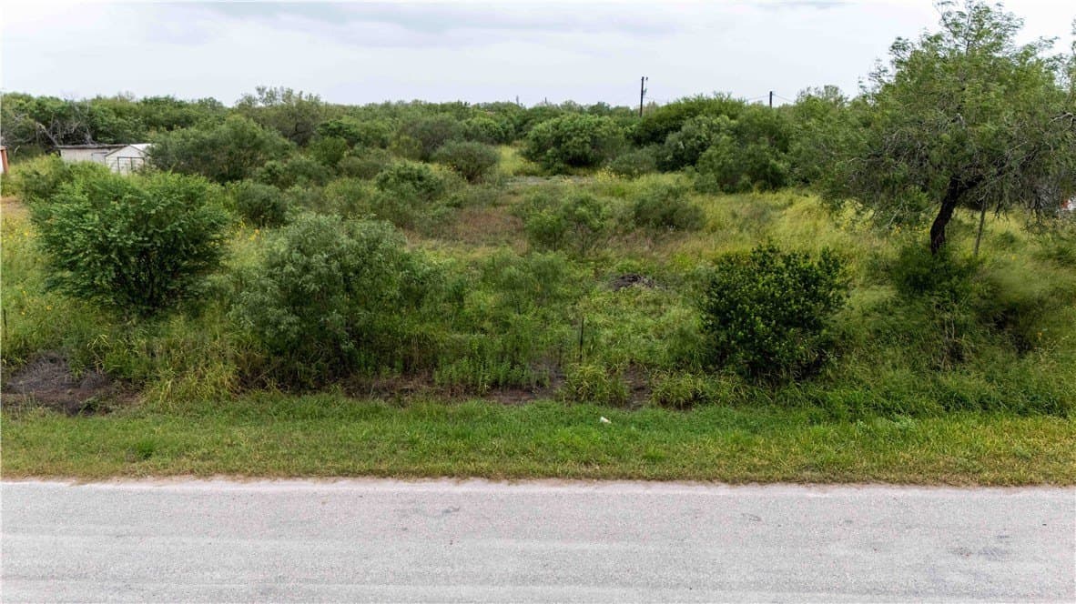 3.36 acres in Kleberg County - photo 6