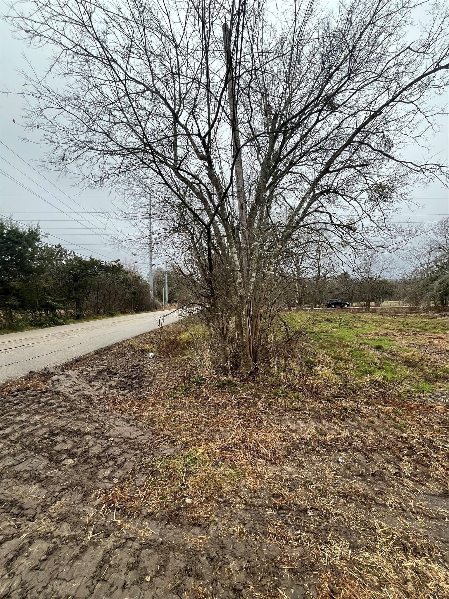 1.96 acres in Hunt County - photo 8