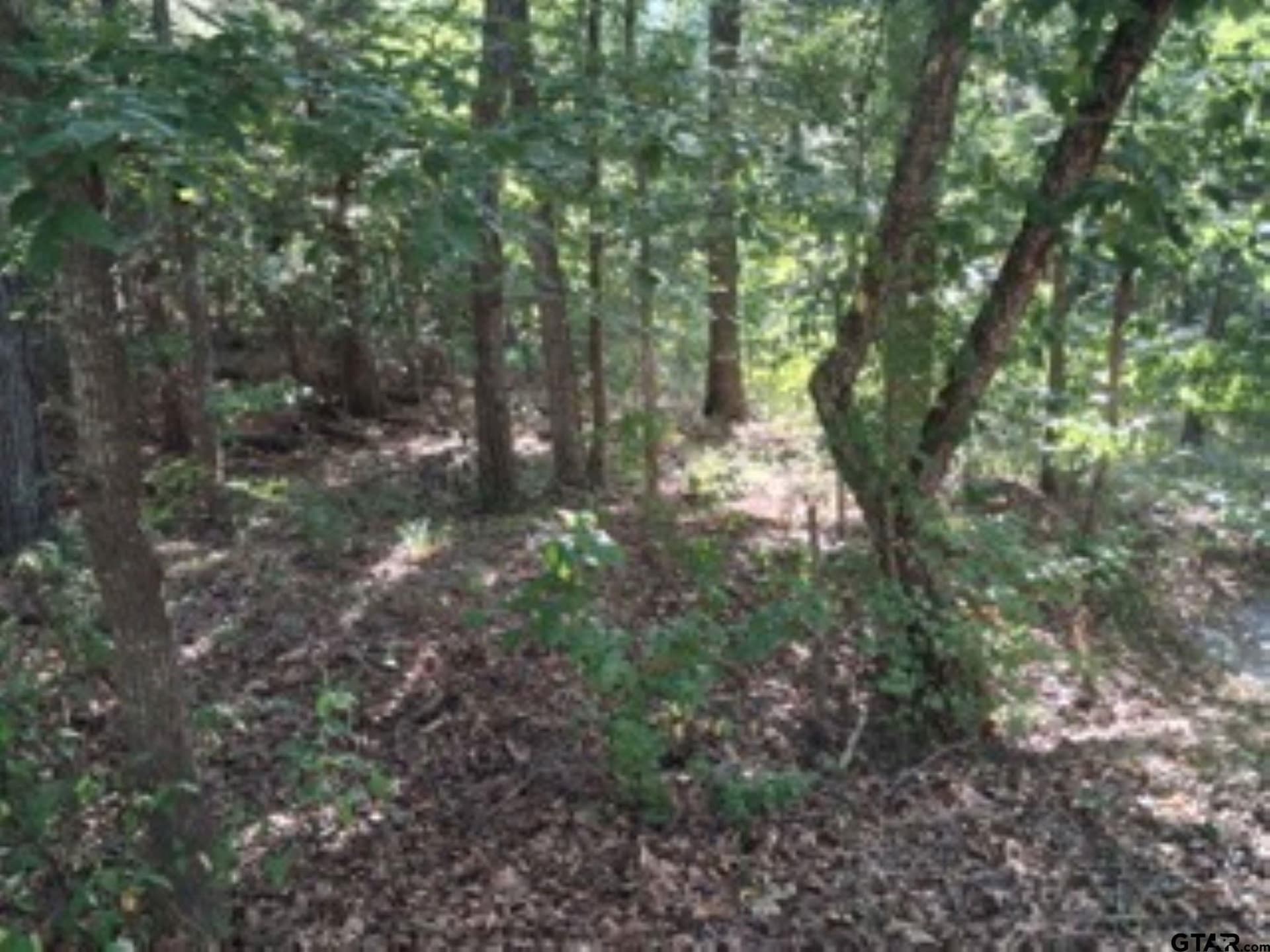 0.28 acres in Van Zandt County gallery image 4