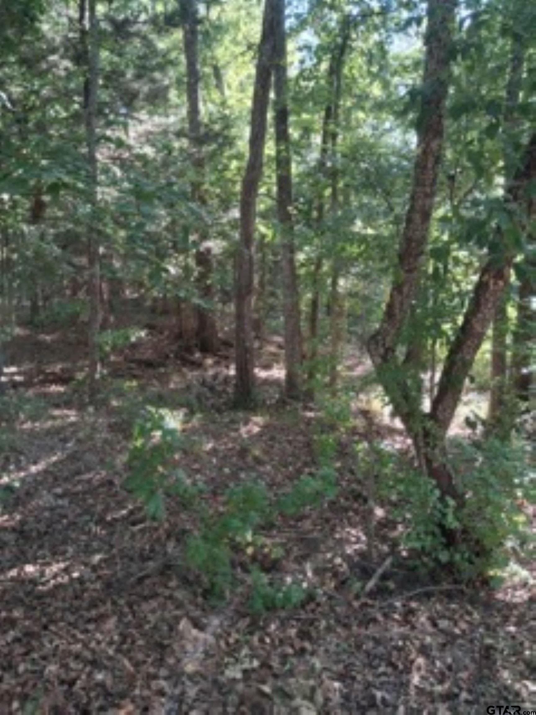 0.28 acres in Van Zandt County gallery image 2