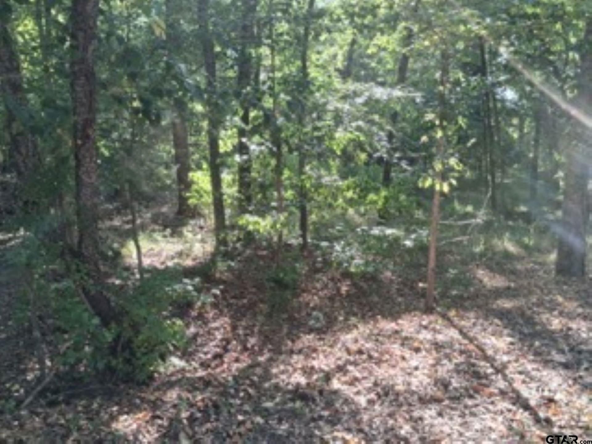 0.28 acres in Van Zandt County featured view