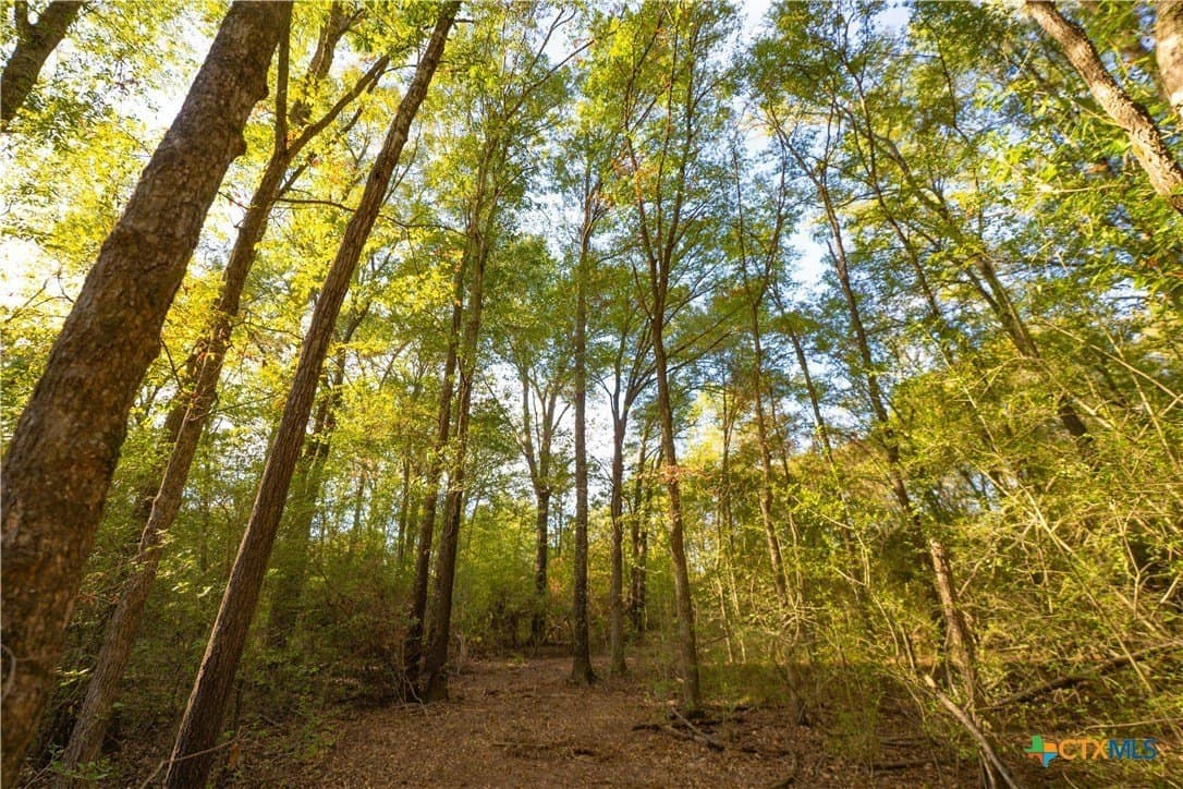 3.51 acres in Robertson County - photo 6