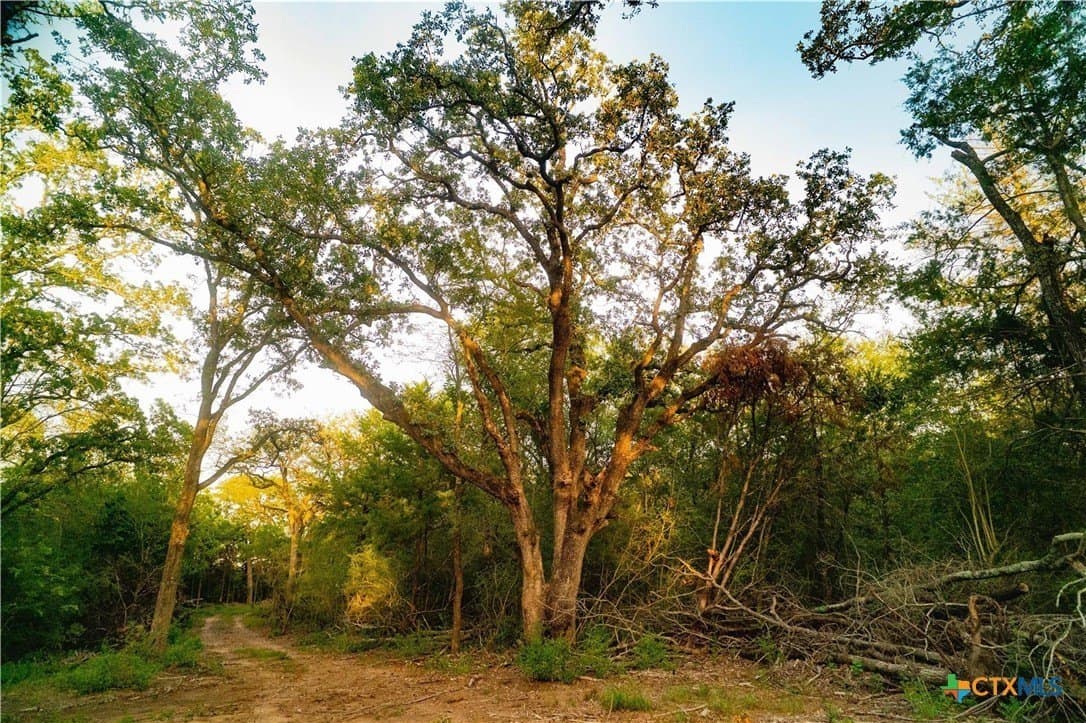 3.51 acres in Robertson County - photo 3