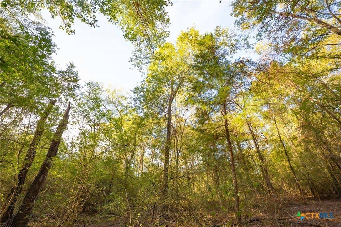 3.51 acres in Robertson County - photo 9