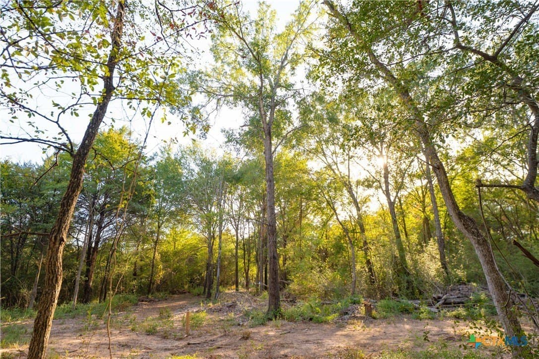 3.51 acres in Robertson County - photo 10