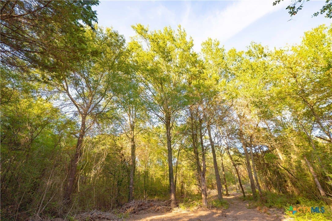 3.51 acres in Robertson County - photo 14